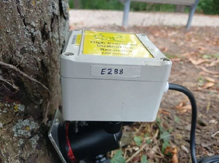 Dynamic Tree Testing Ireland