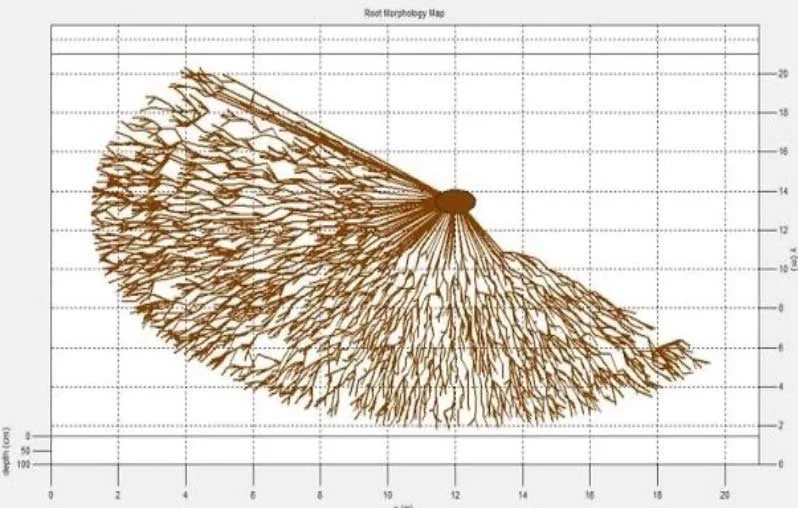 Root Radar Ireland