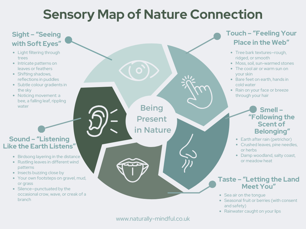 Diagram: The Sensory Map of Nature Connection