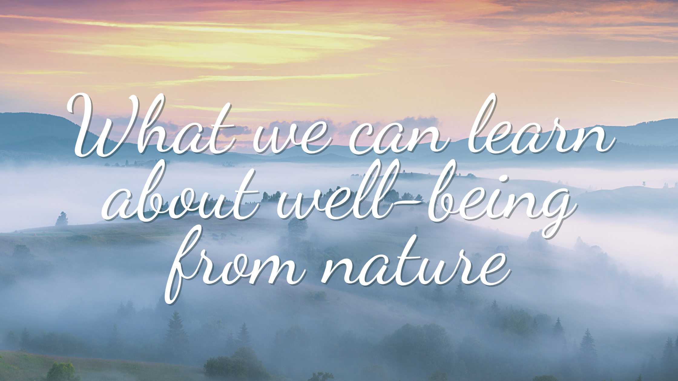 Gentle Guidance & Nature-Based Wisdom: A Blog for Sensitive Souls ...