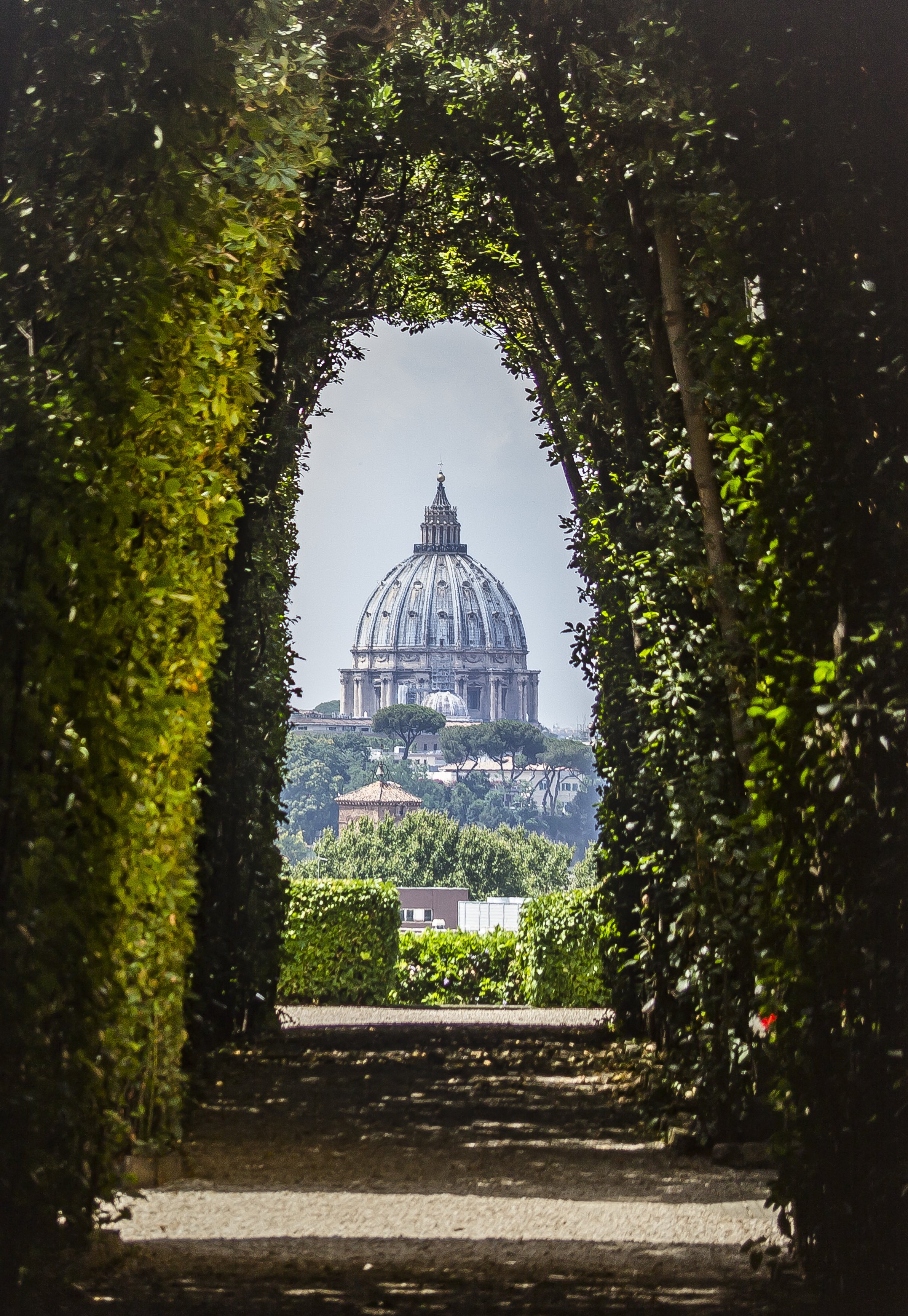 Photo by Kim Stone - A view through a tree-lined archway revealing the dome of St. Peter's Basilica in Vatican City, Rome, Italy, in the distance.