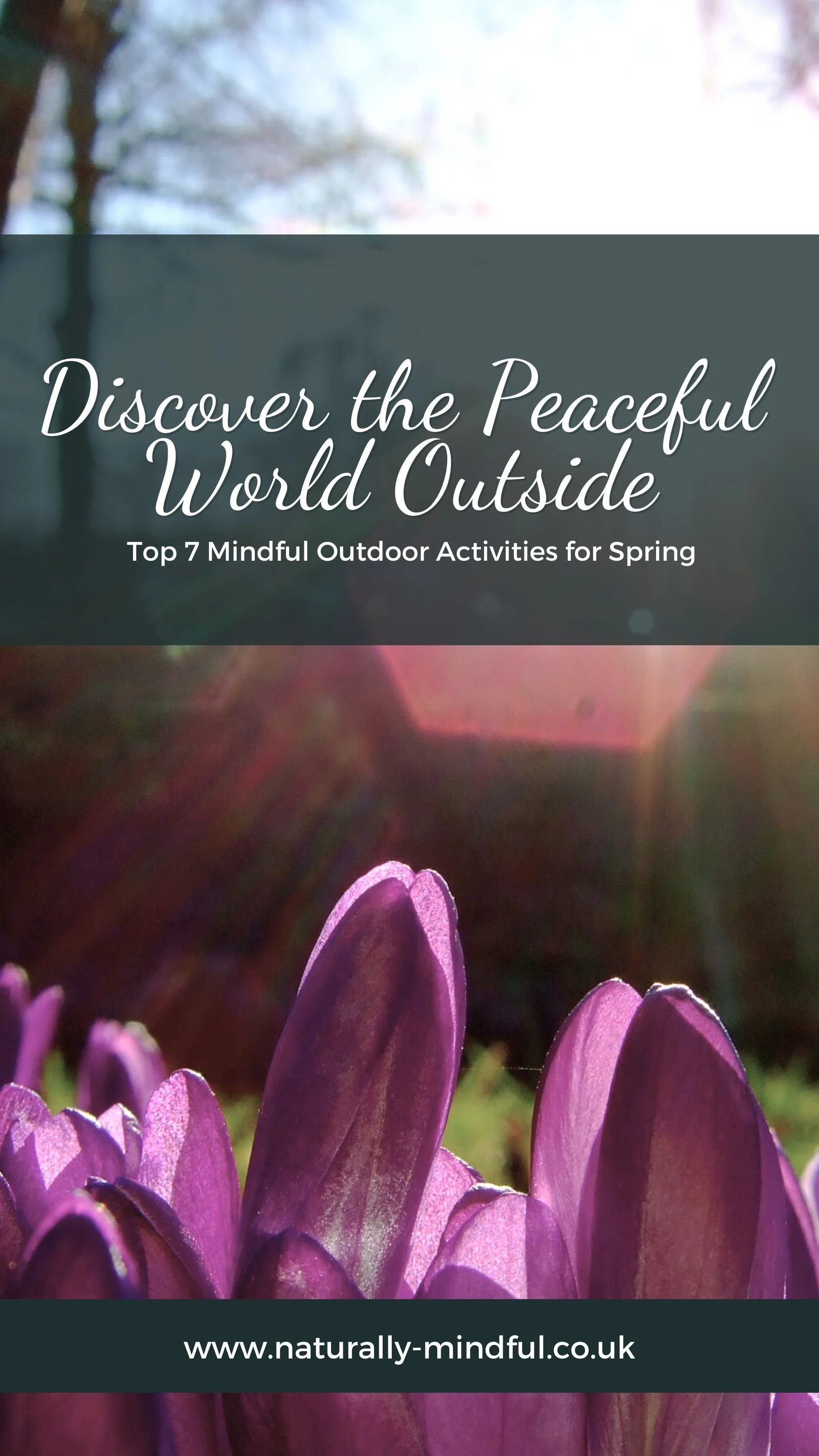 Gentle Guidance & Nature-Based Wisdom: A Blog for Sensitive Souls ...
