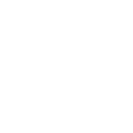 icon solid