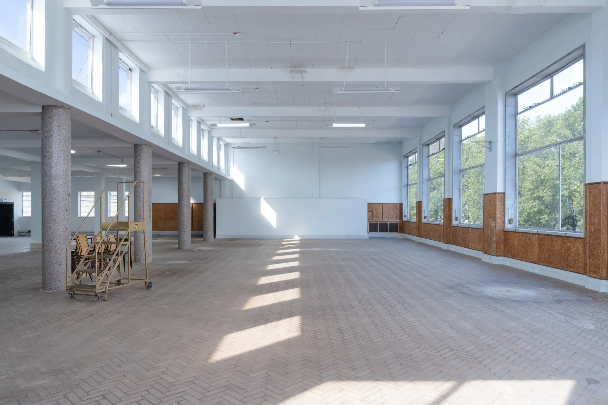 ASD Site May 2024-42.jpg