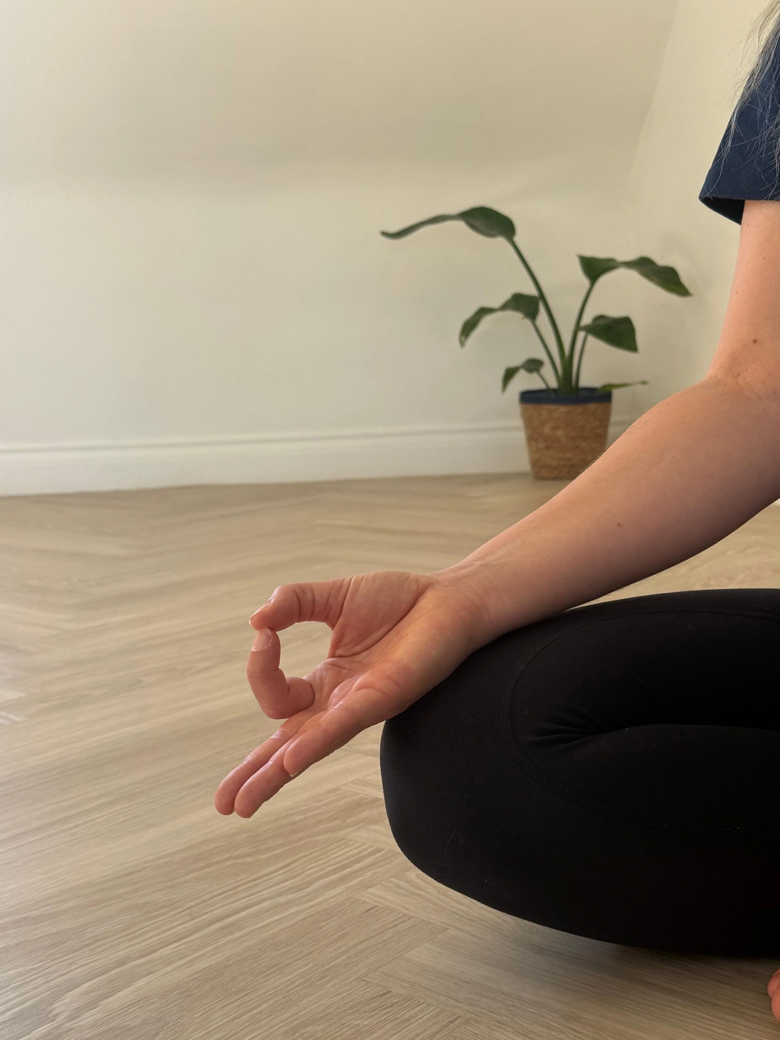 The Centred Self -                  A Meditation Course