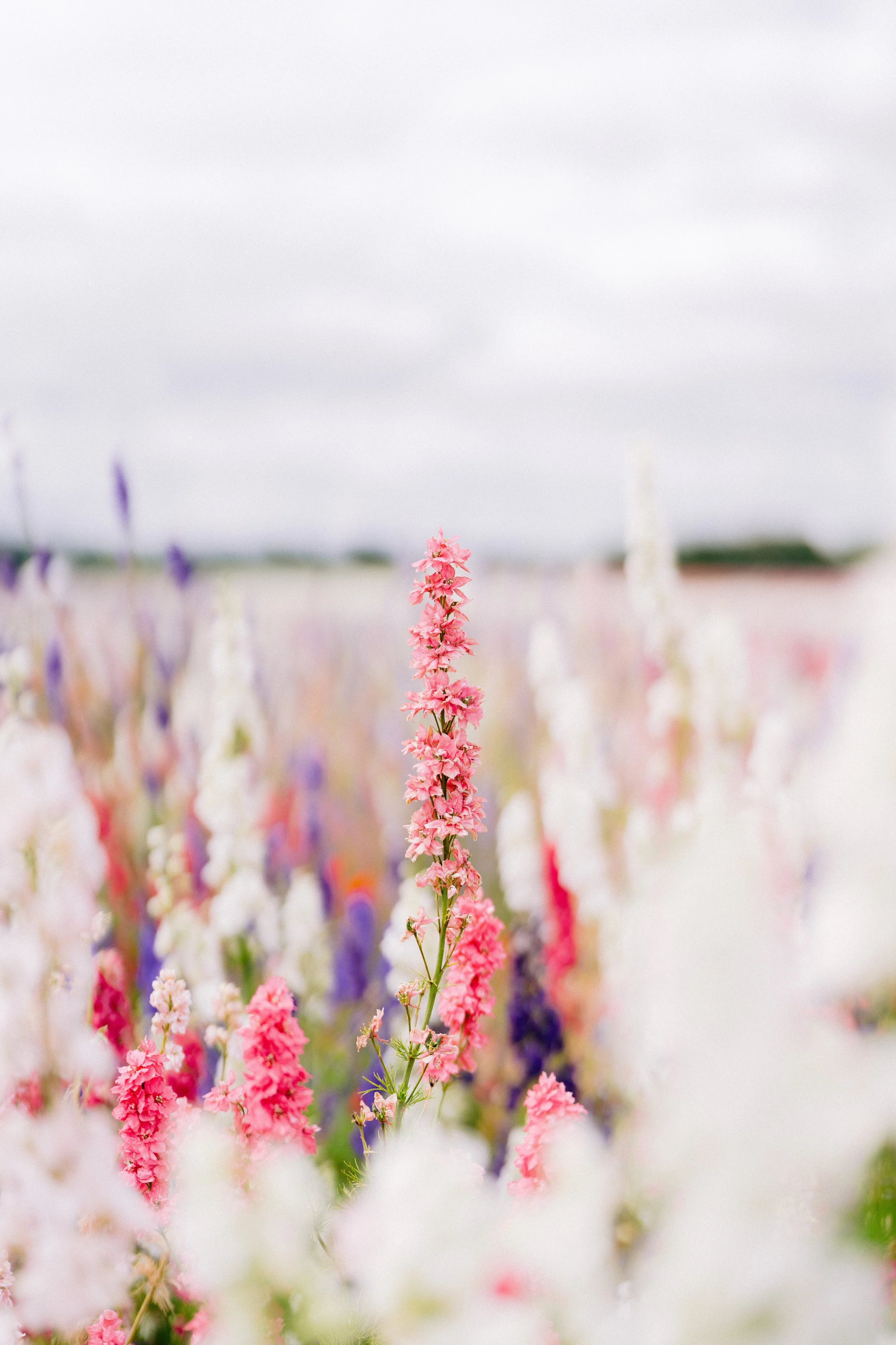 The Power of Pranayama - A Beginners Guide to Breathwork