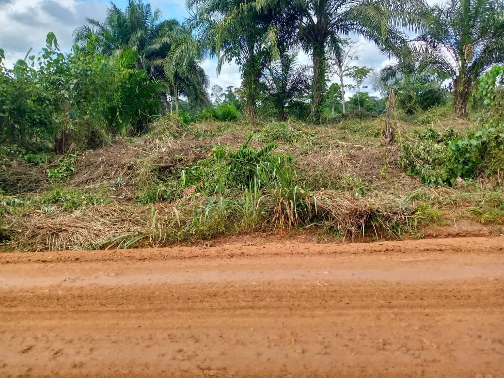 Wir sorgen für Sicherheit auf dem Grundstück.