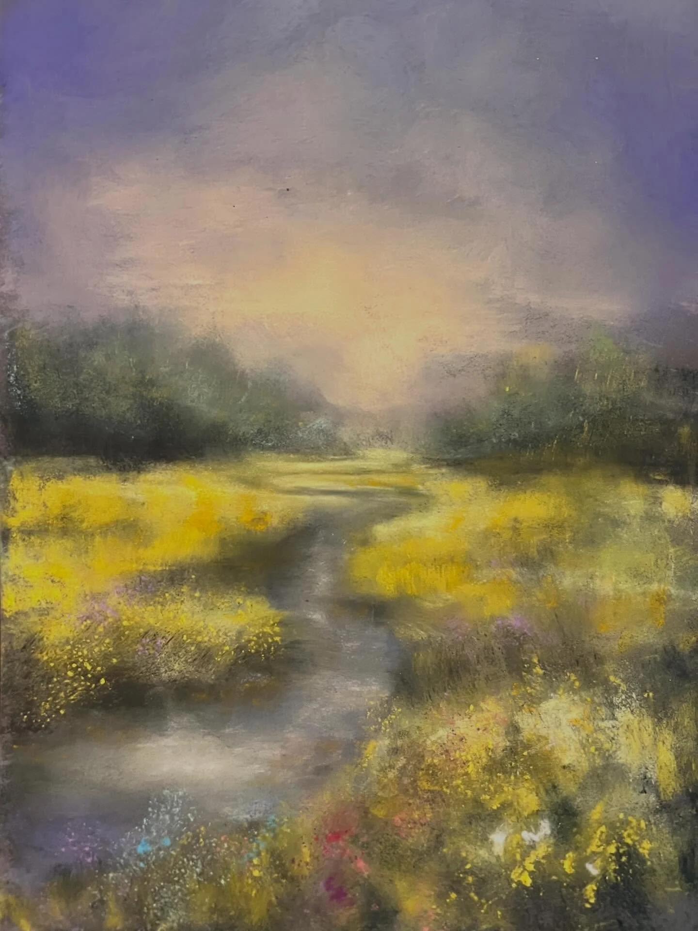 S&eacute;rie en cours 1/4

&Eacute;clat du matin
Une lumi&egrave;re qui traverse, doucement.

Pastel sec original
Format 24 &times; 18 cm

Disponible
175 &euro;

DM ou lien en bio