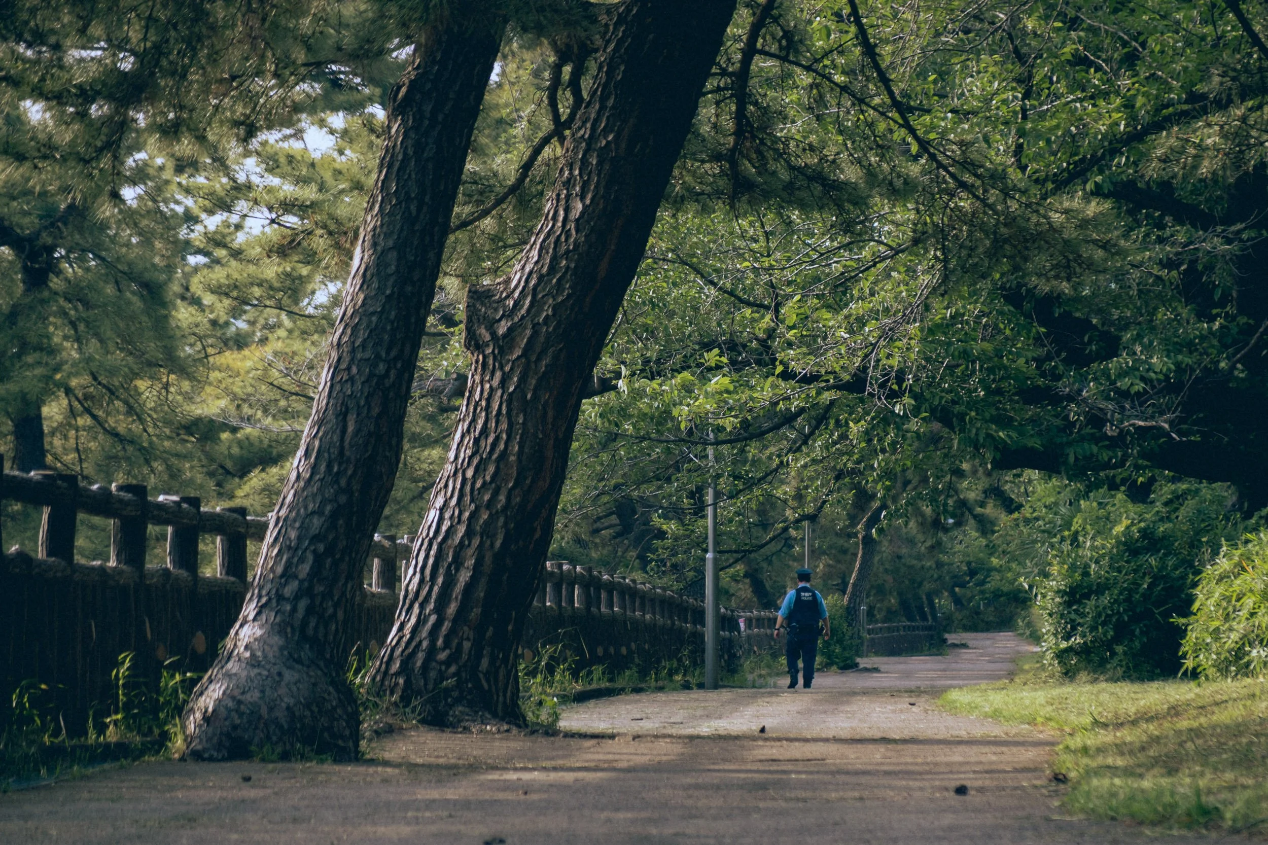 パトロールという名の散歩　For me he seemed like just enjoying taking a walk.