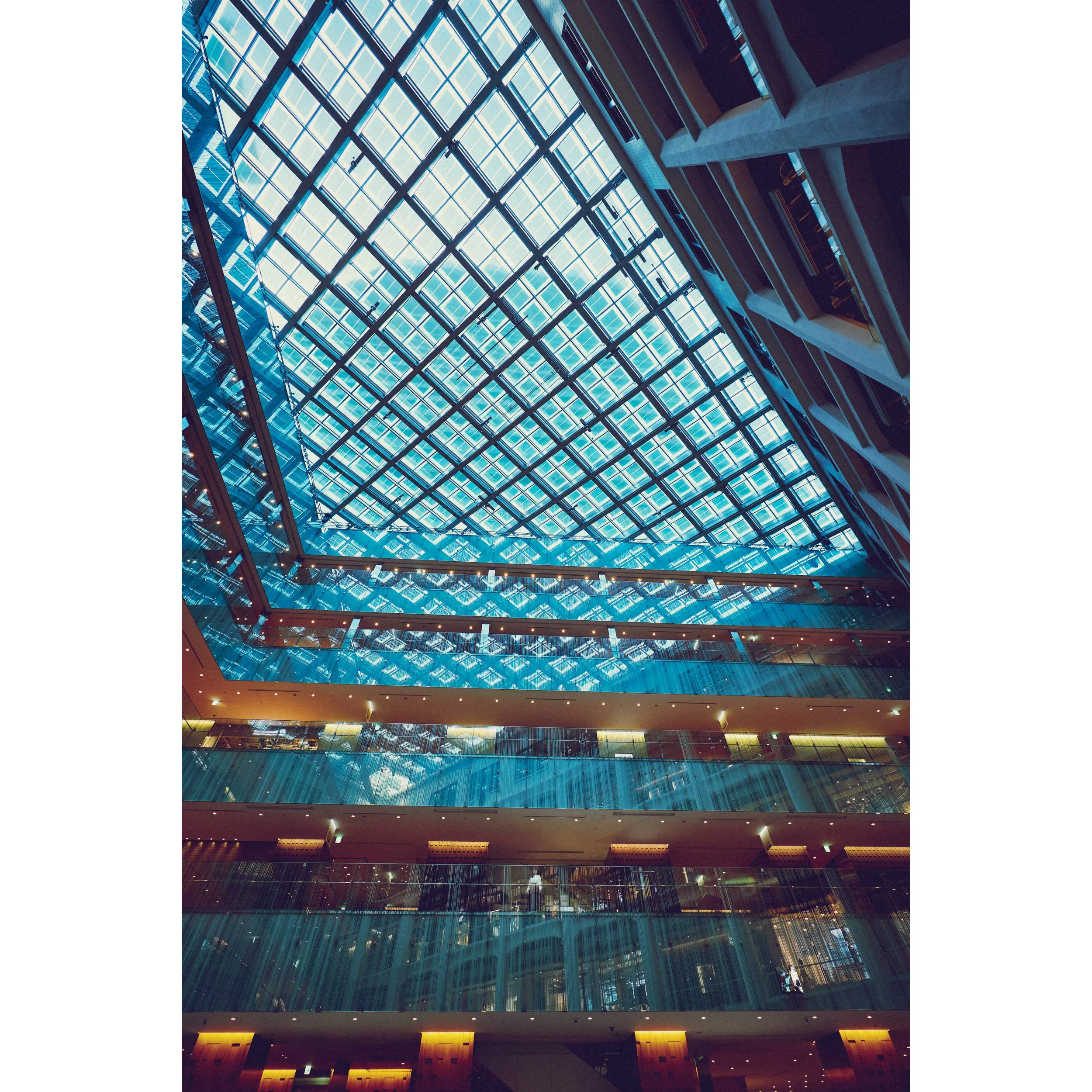 見上げる　Looking up