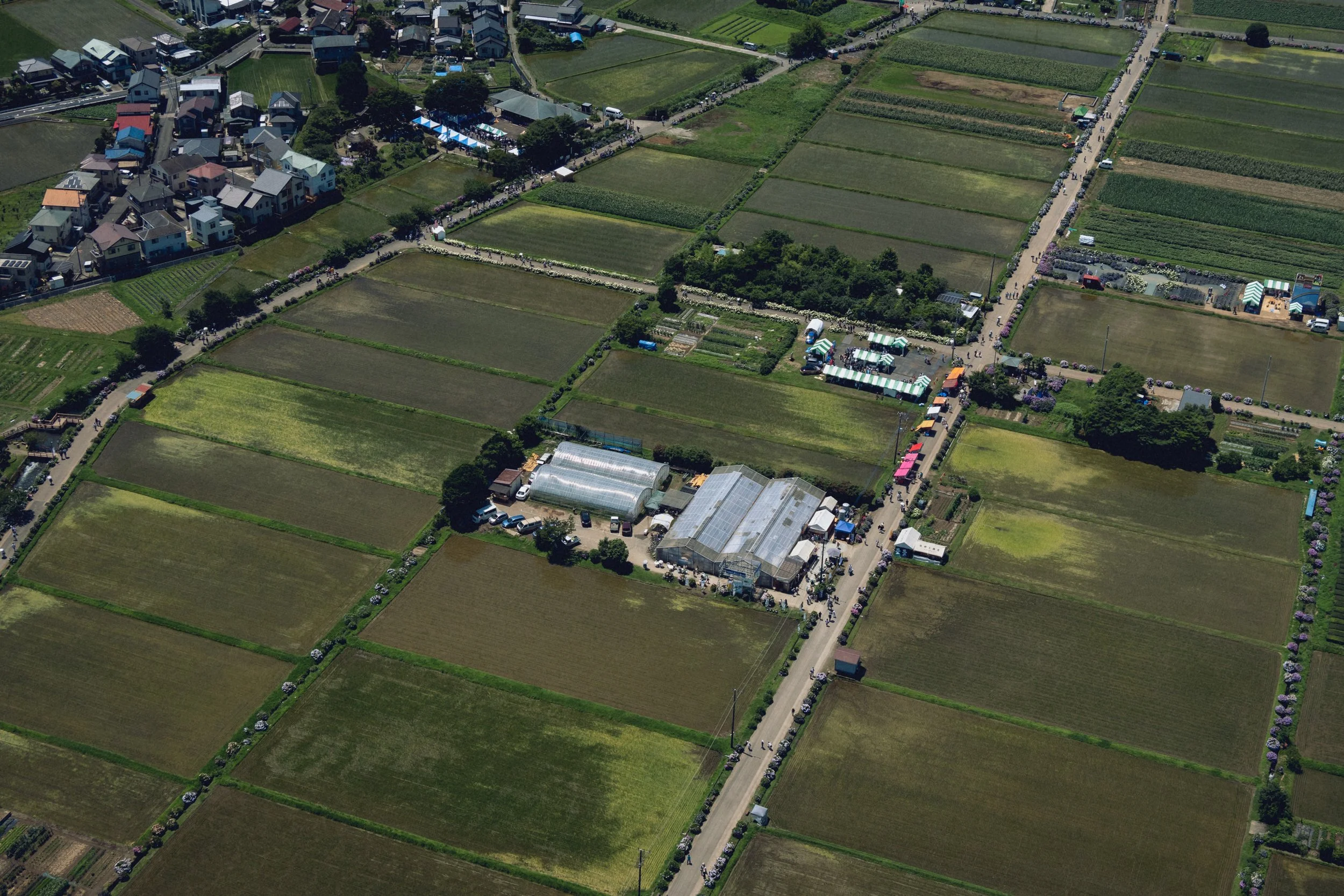 空から祭りを見る。　Watching festival from sky