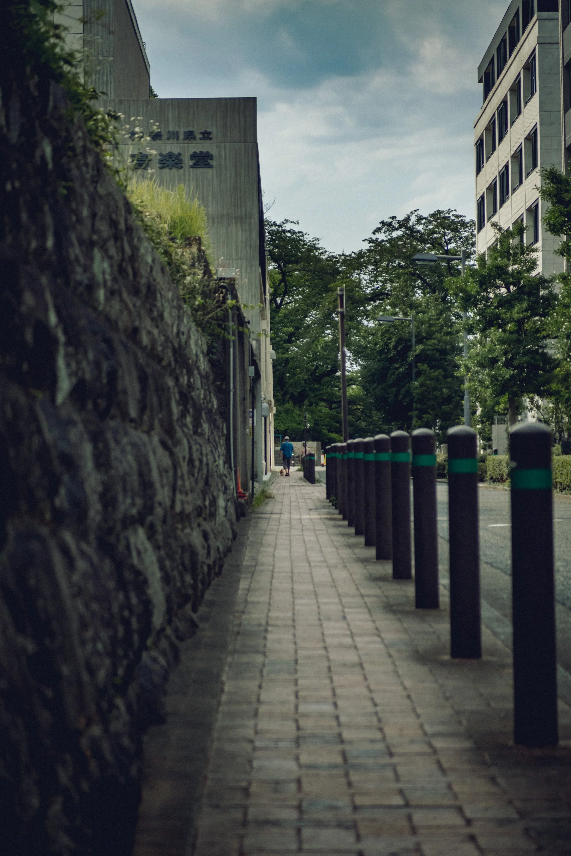 散歩　Take a walk