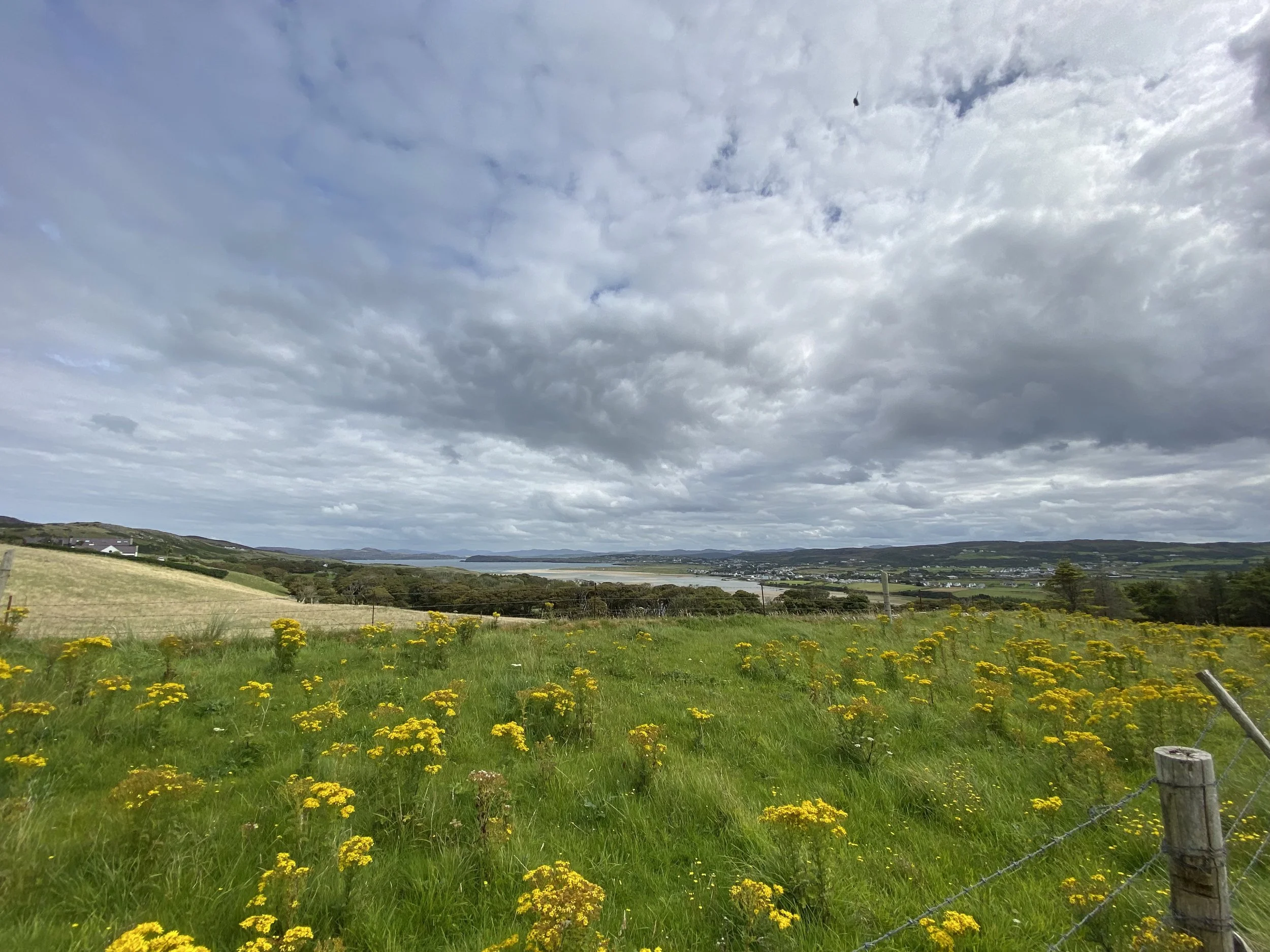 Turning Weeds Into Wildflowers