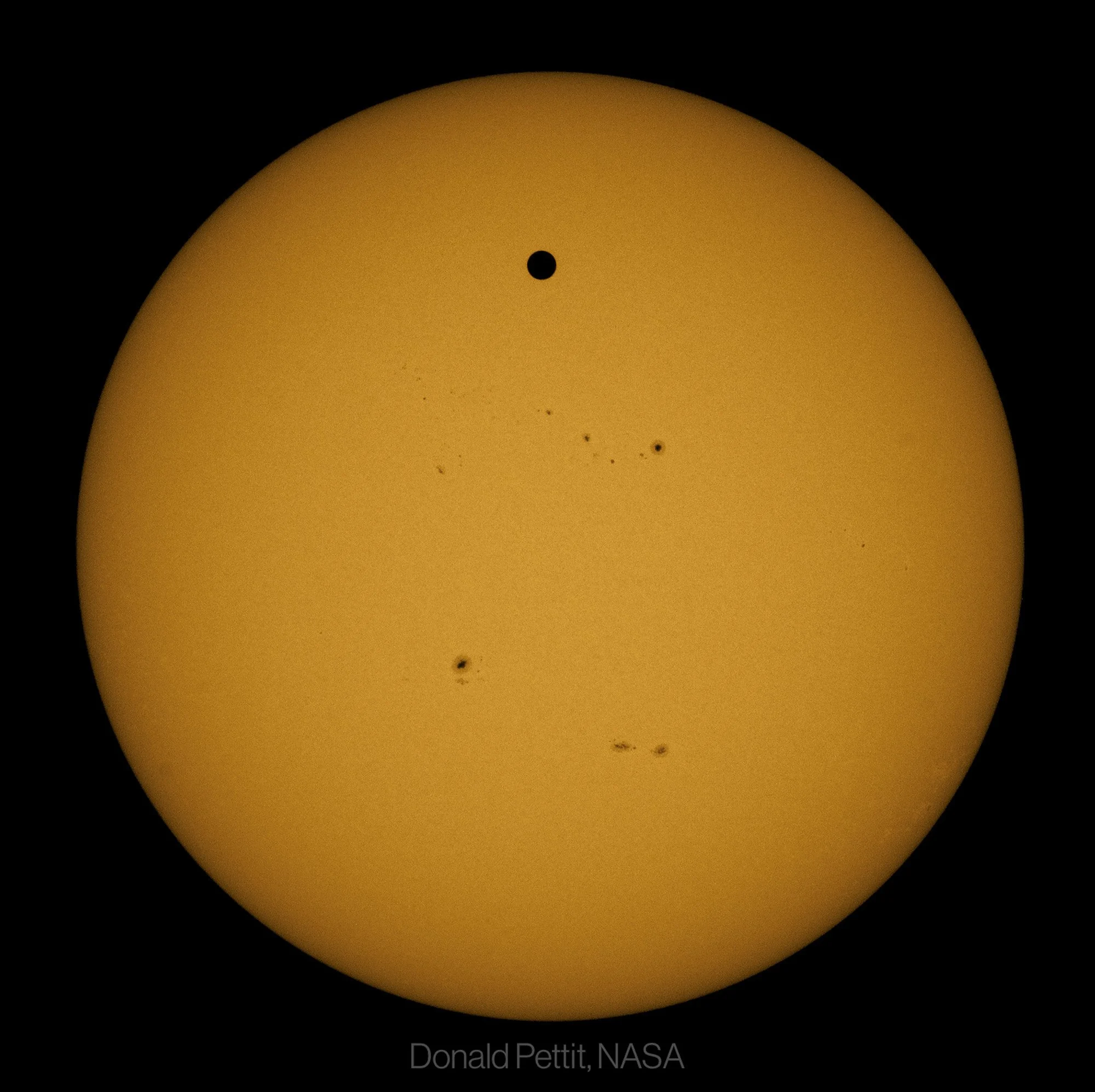 Black Spot Sun, 2012.JPG