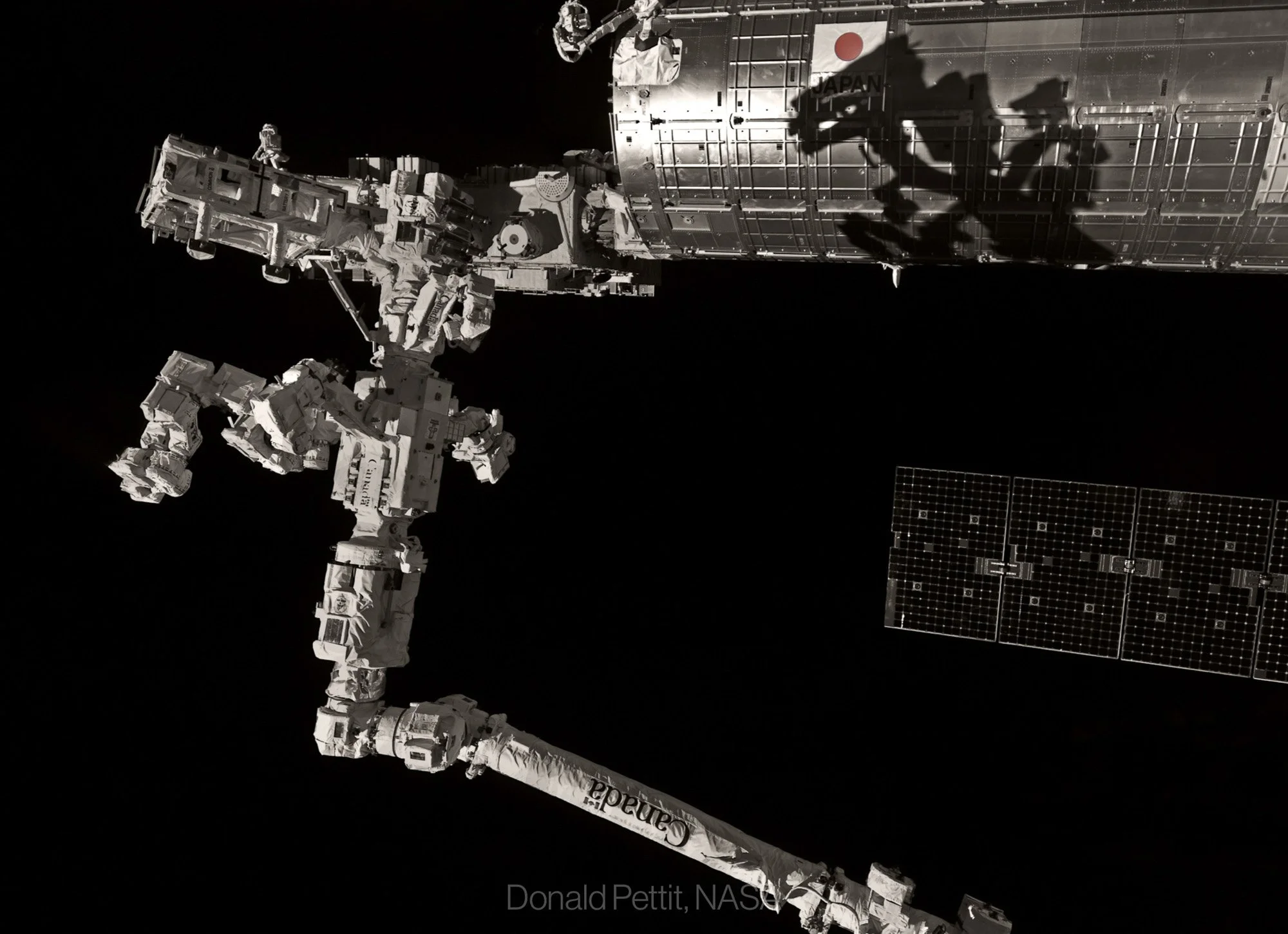 Godzilla in Space.JPG