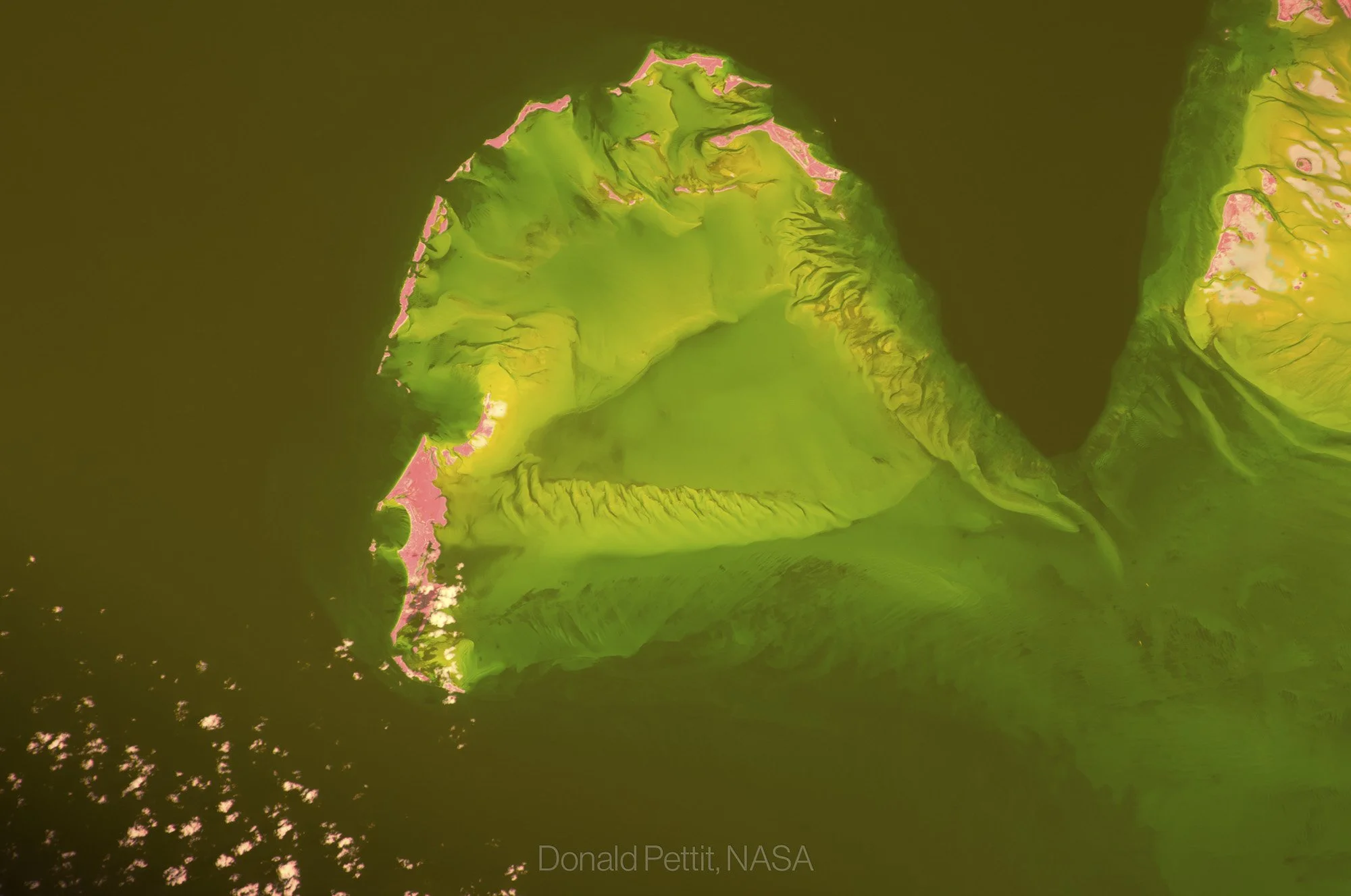 Ceature from the Lagoon, 2011.JPG