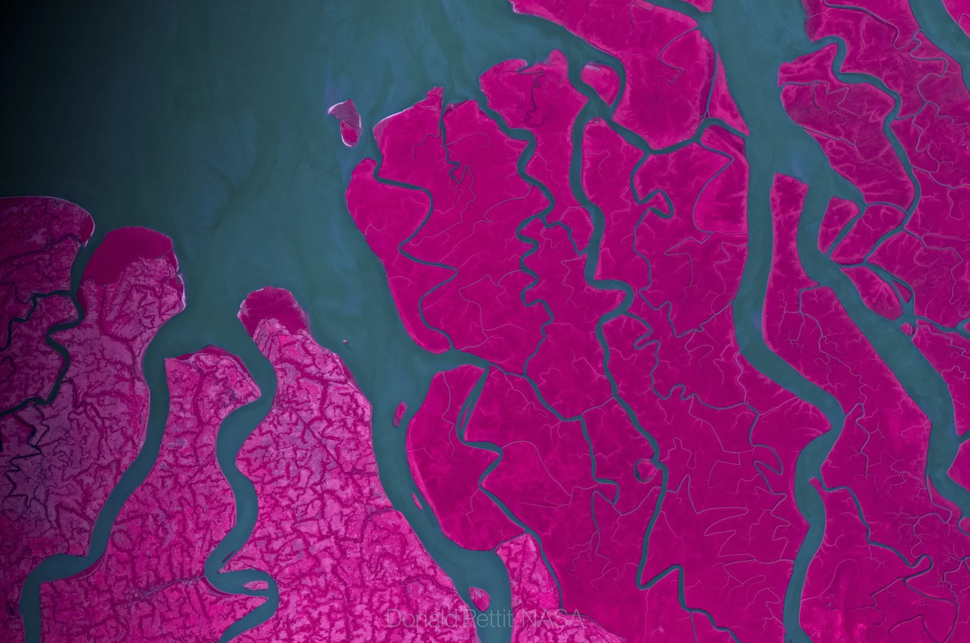 Cosmic Matisse, 2012.JPG