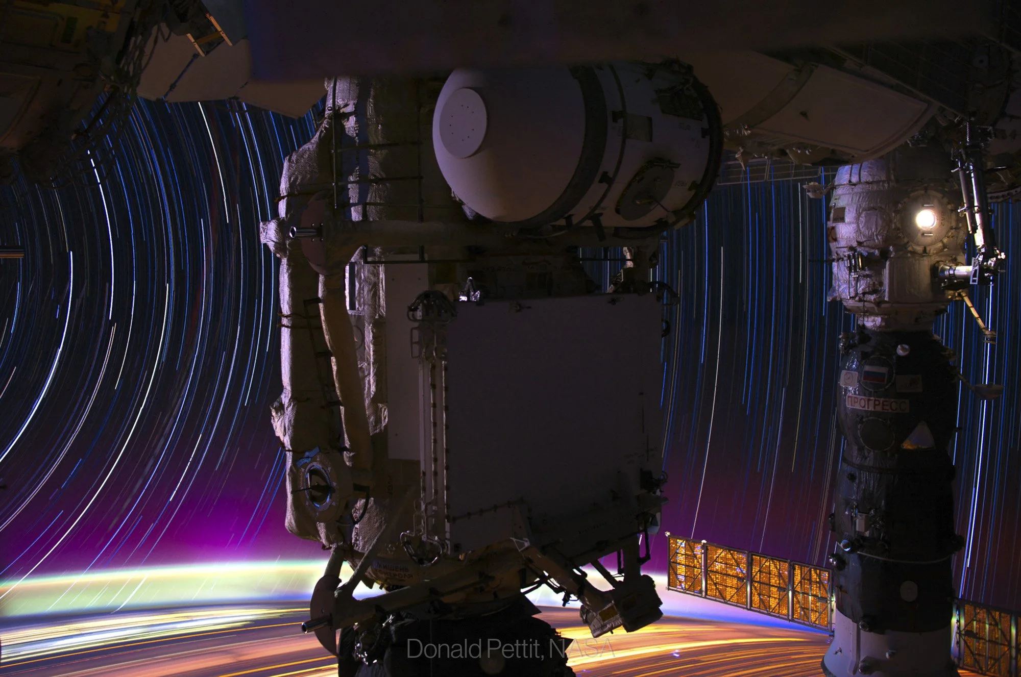 Purple Haze, 2012.JPG