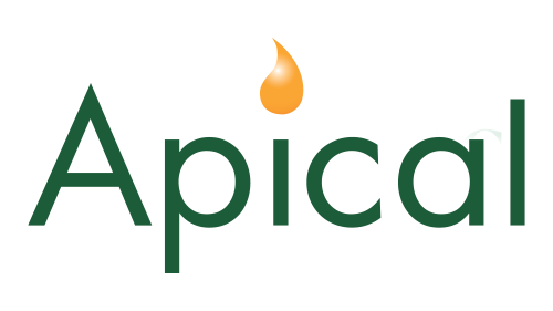 Apical.png