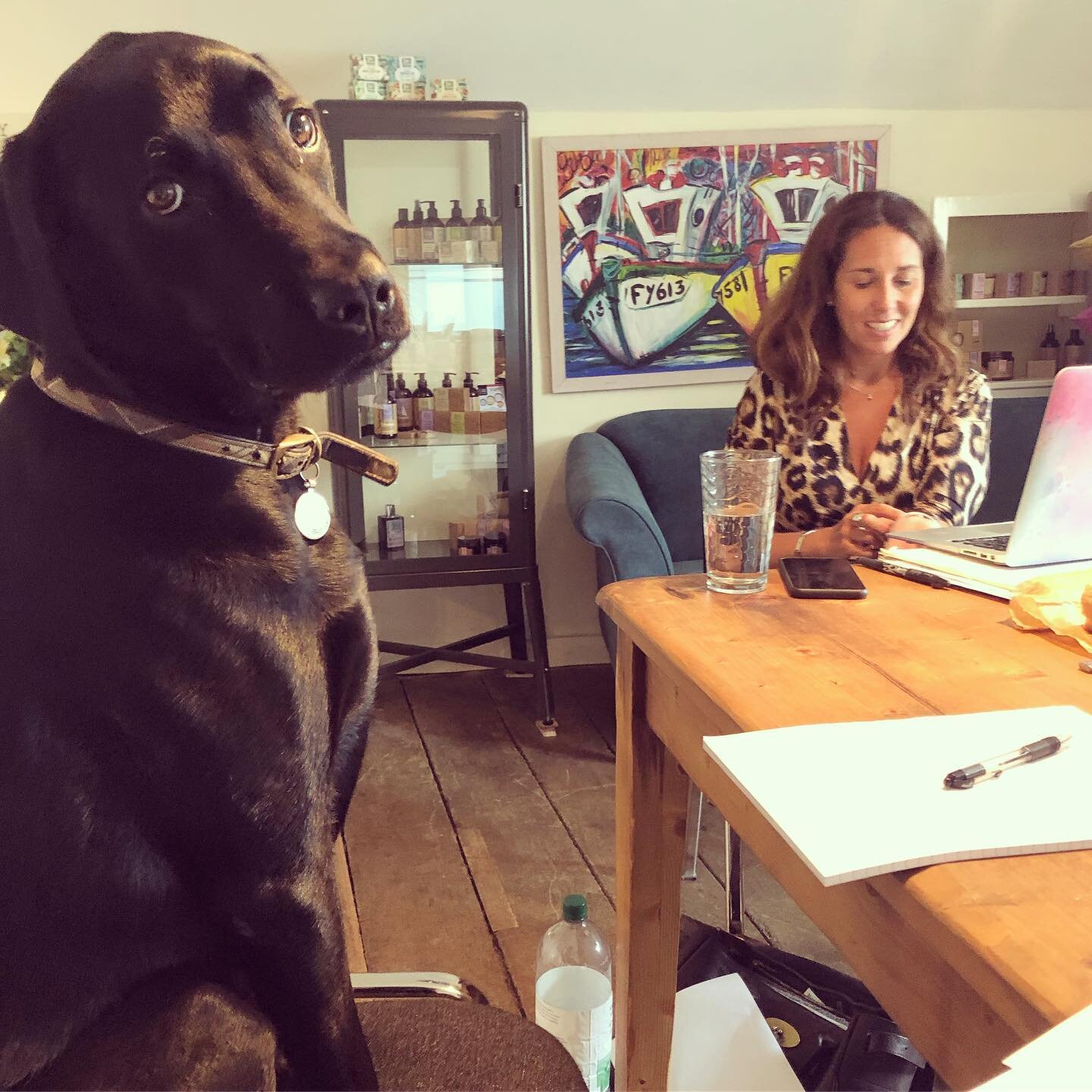 Had the best day strategising with @little_soap_co and their star employee Henry! Love when a work day includes dog walks in Cotswold orchards. Thanks for such a warm welcome today. BTW... if you haven&rsquo;t had the chance to use their products yet