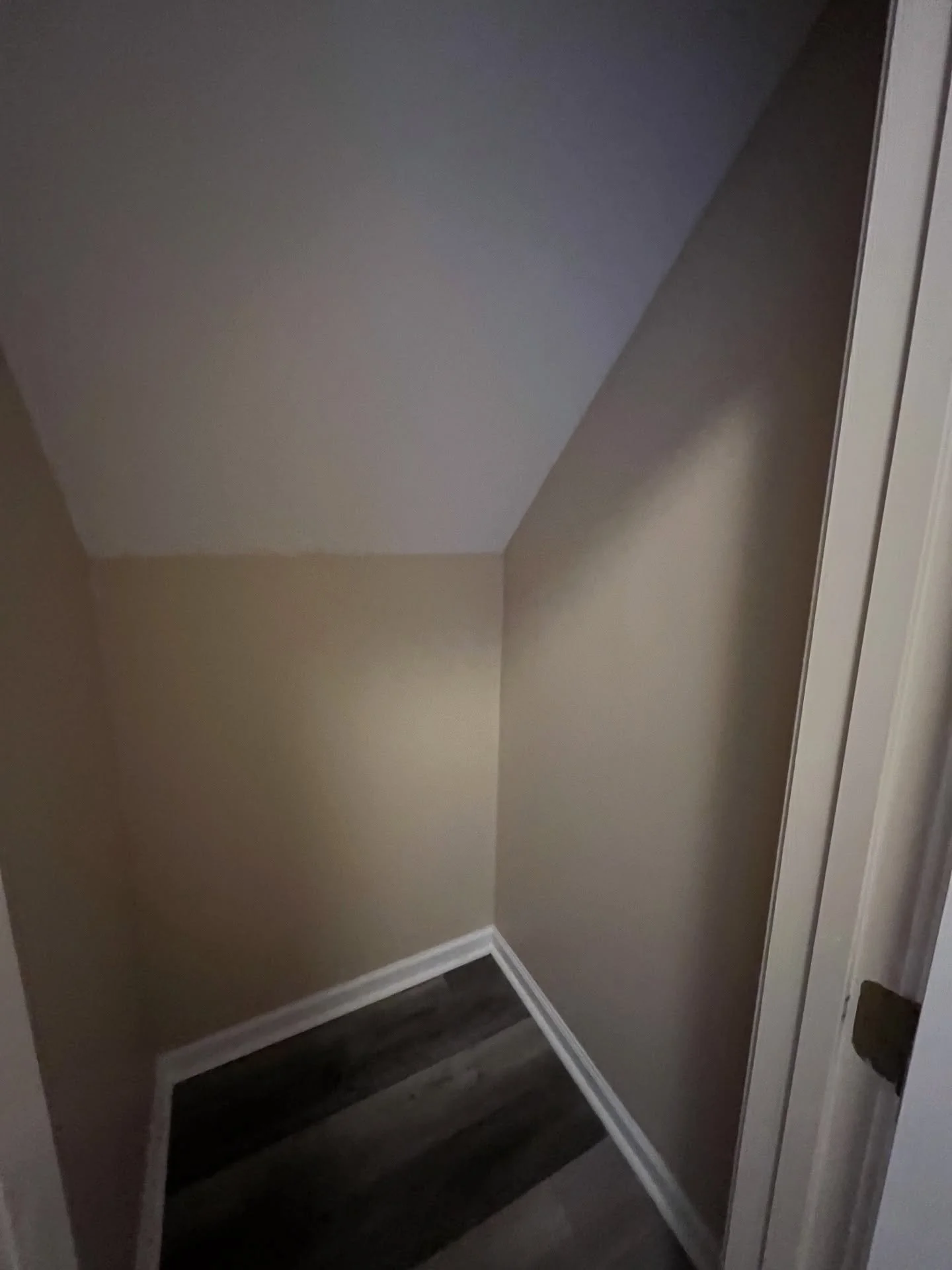 Expanded closet space, flooring installation,  insulation / moisture barrier, drywall and trim repair, and bedroom painting.