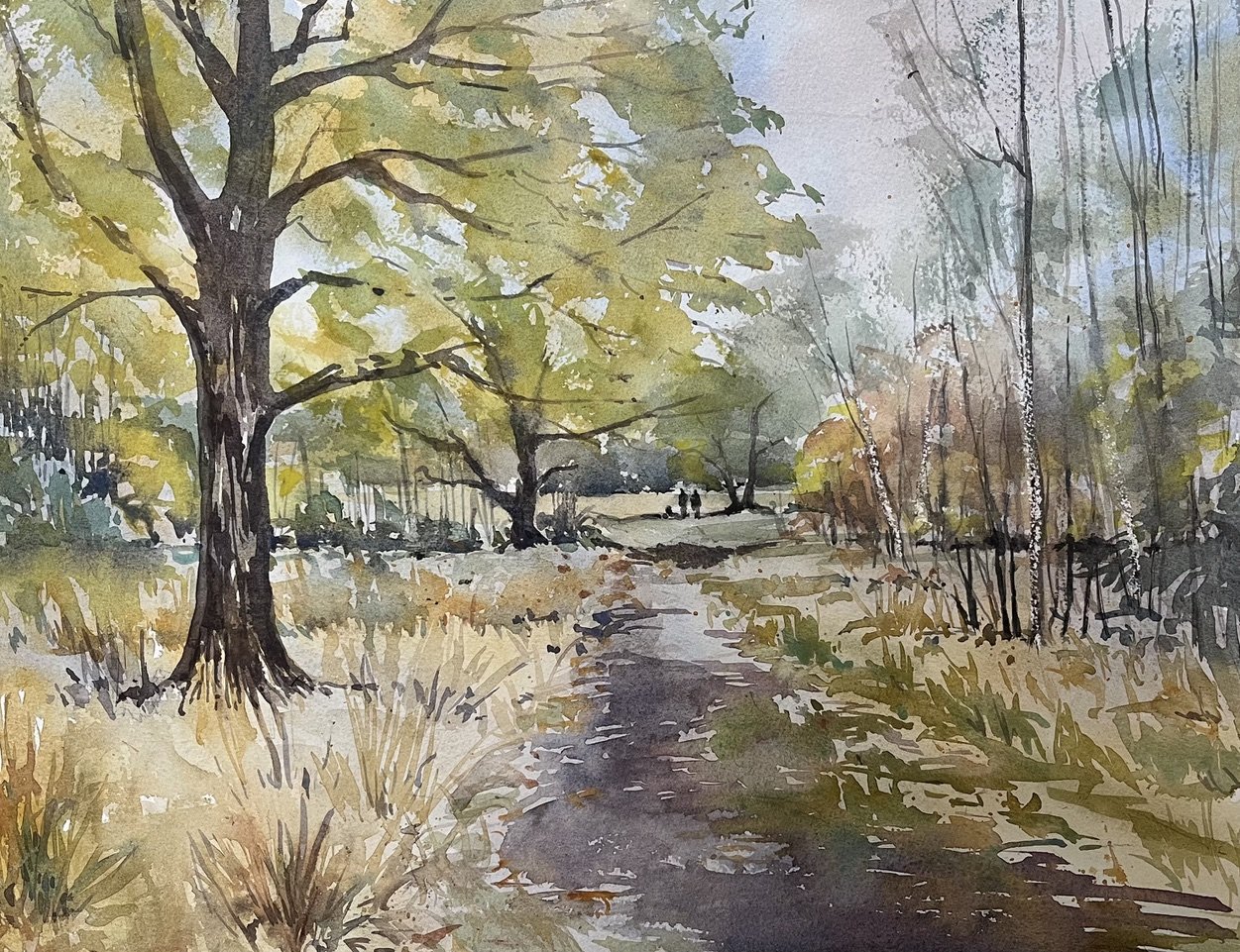 Clare Wetherill