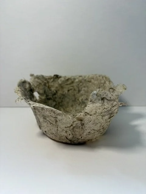 Liz Horn