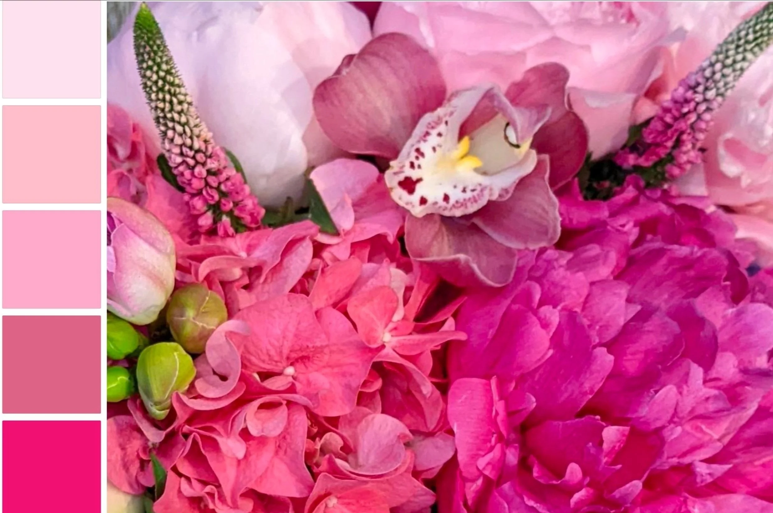 Think Pink!