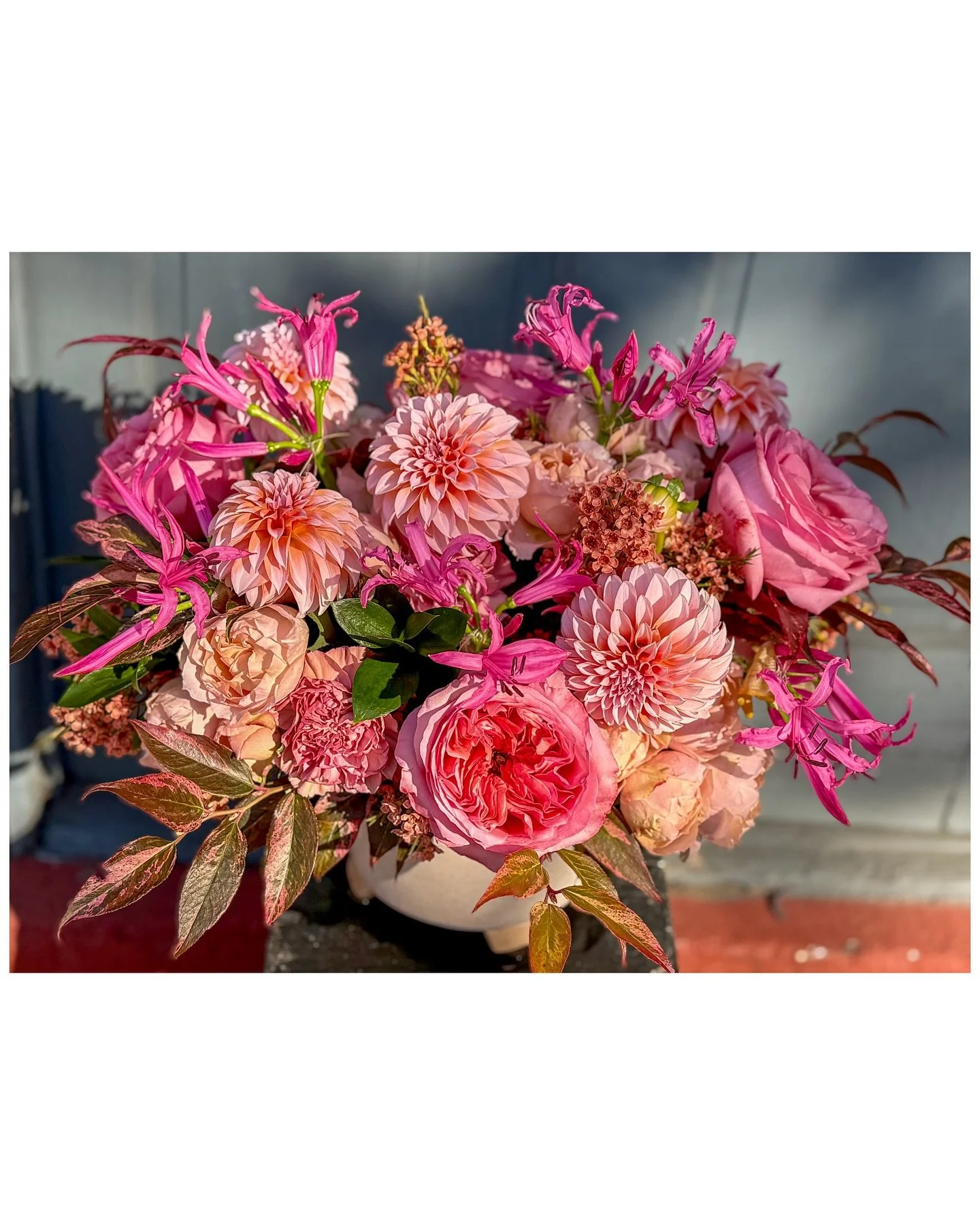 Yesterday was all drizzle and gloom, but today? Crisp air, clear light, and every petal showing off about it. Tuesdays hit different in clean, bright air.
#fallflowers #dahliaseason #roselover #localflorist #floraldesign #providenceflowers #fourbuds