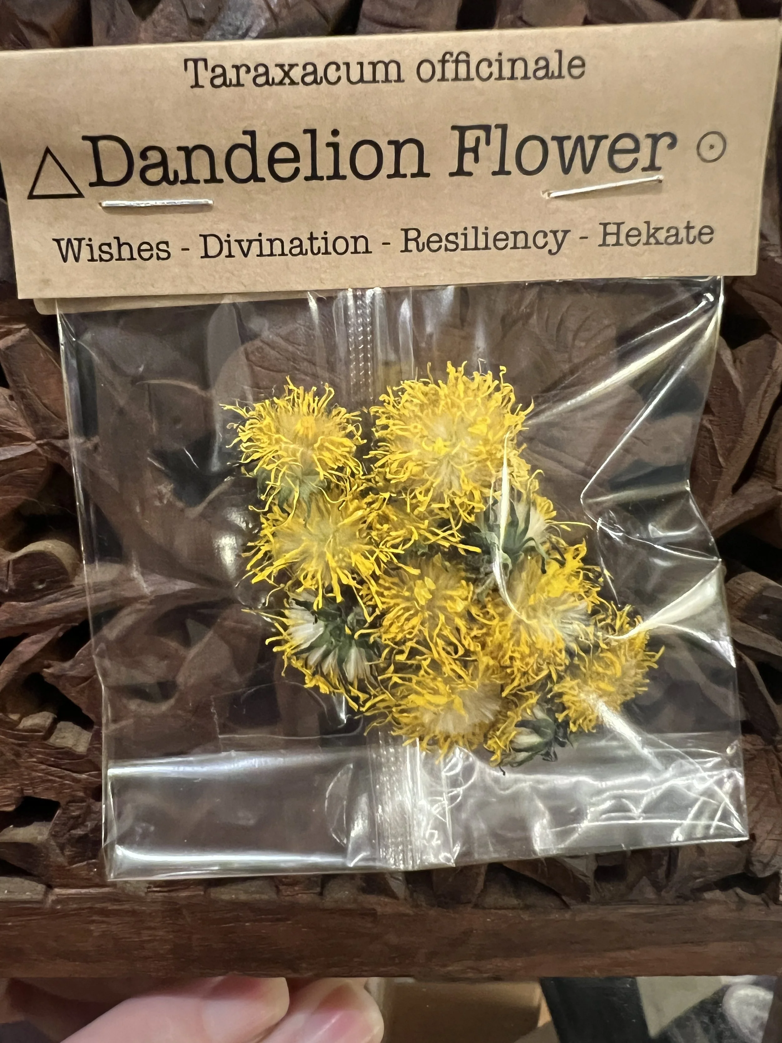 Spellcraft Herbs: Dandelion Flower