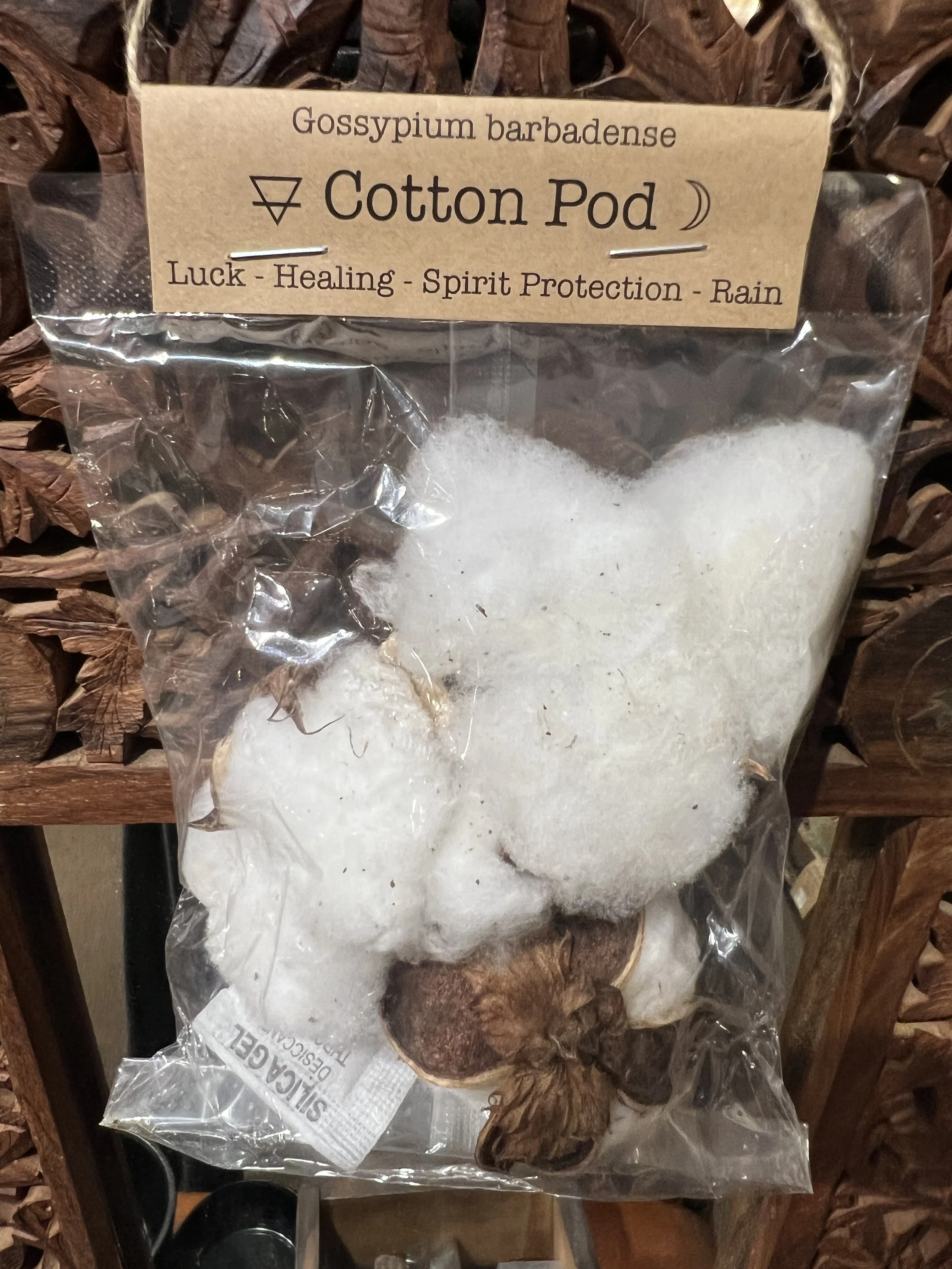 Spellcraft Herbs: Cotton Pods (3)