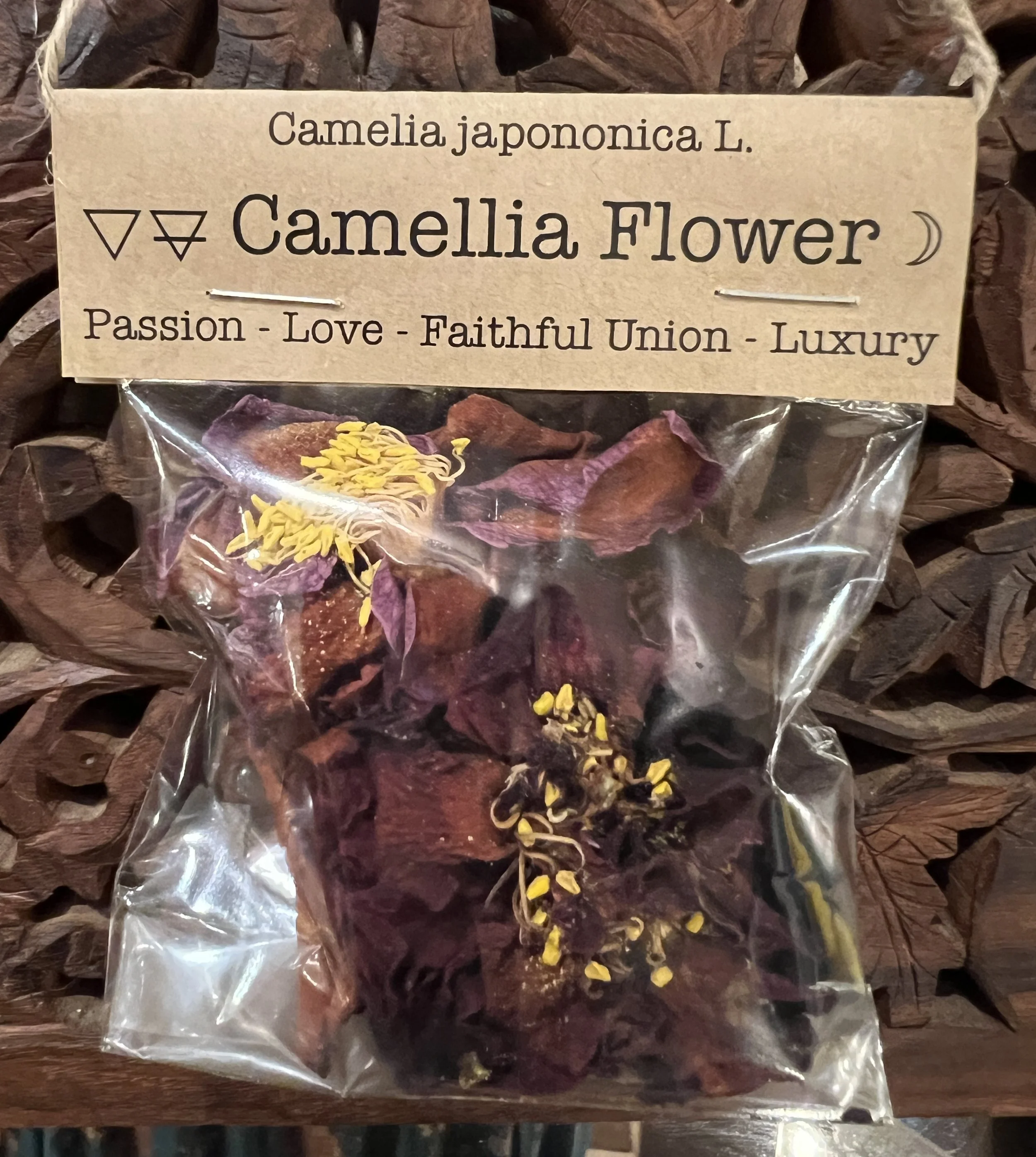 Spellcraft Herbs: Camelia Flowers (2)
