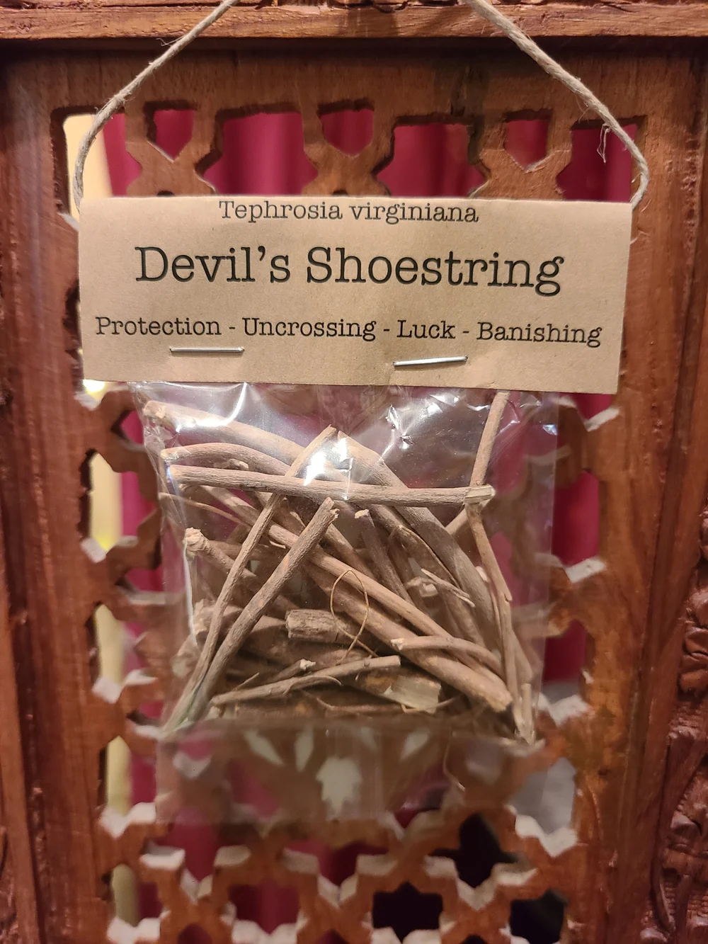 Spellcraft Herbs: Devil's Shoestring  The Sojo