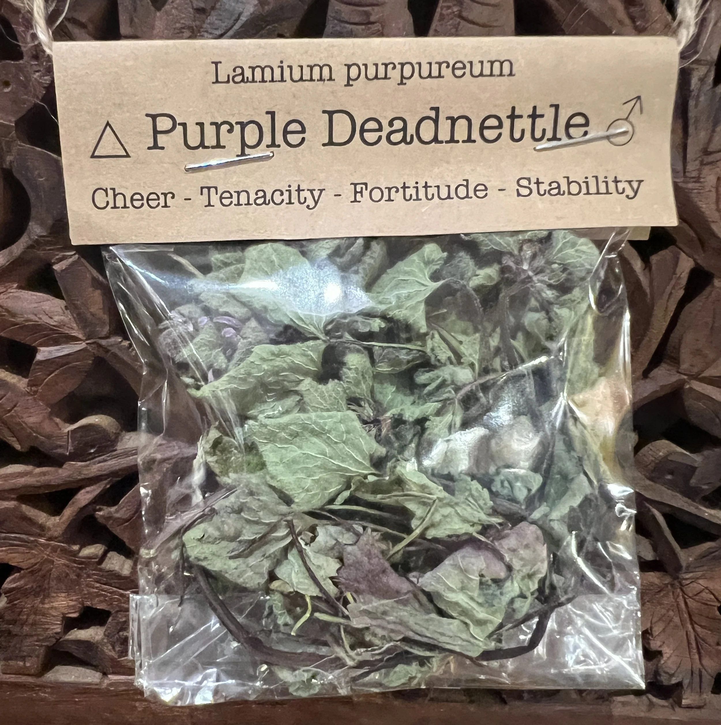 Spellcraft Herbs: Purple Deadnettle