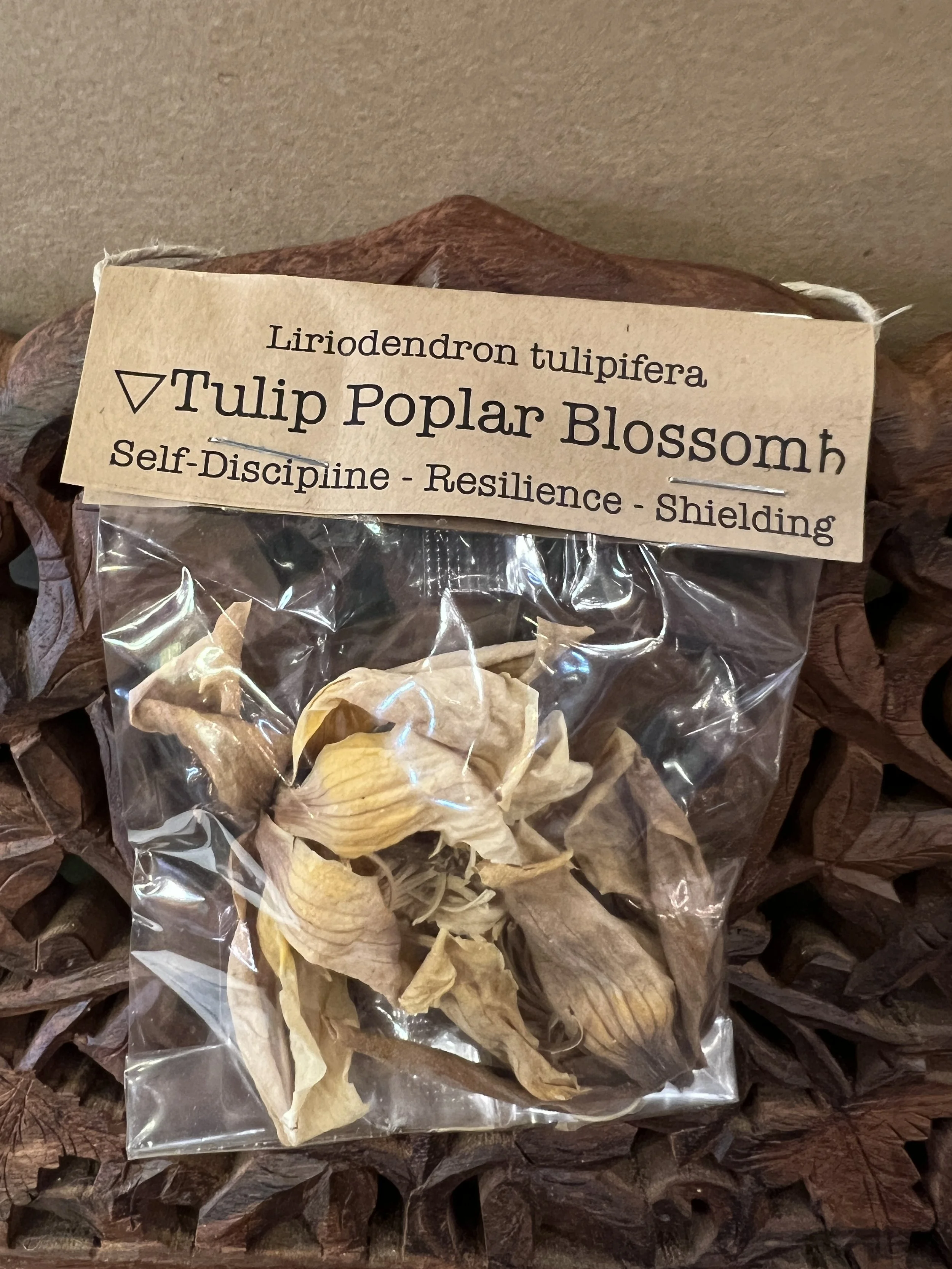 Spellcraft Herbs: Tulip Poplar Blossom