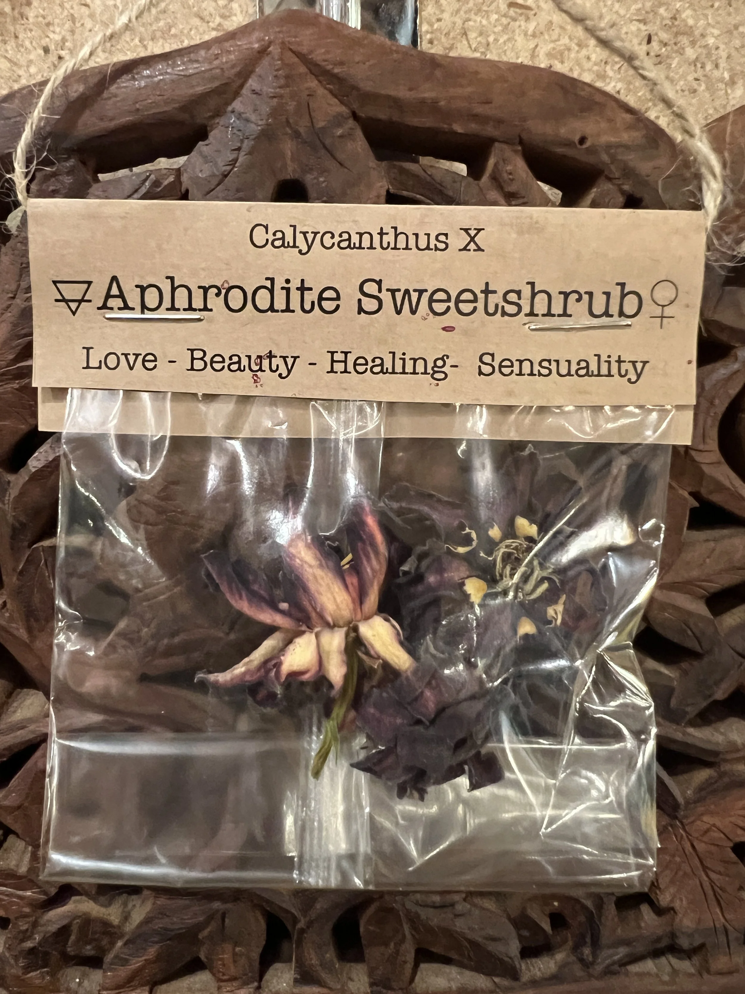 Spellcraft Herbs: Aphrodite Sweetshrub Flowers