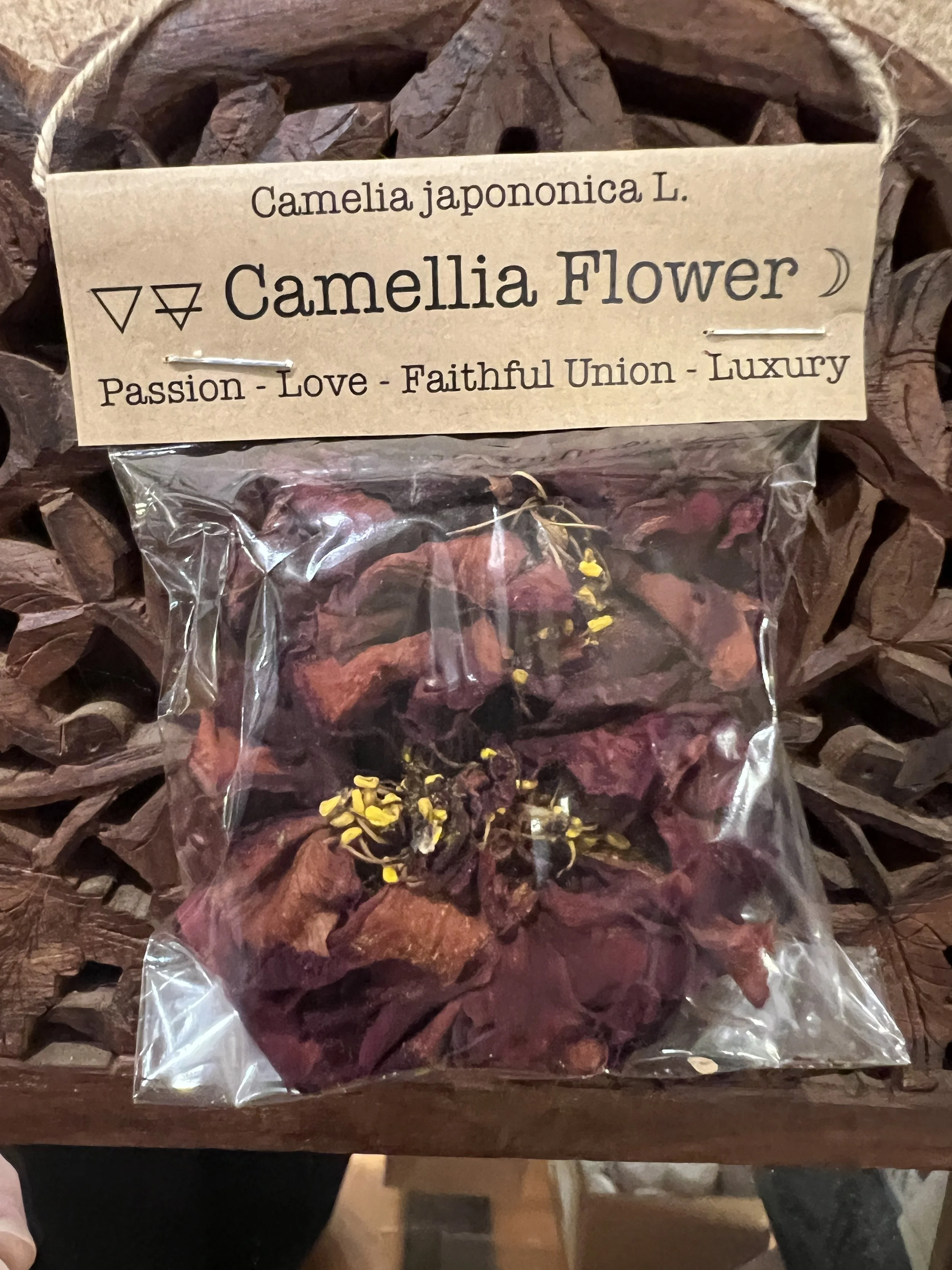 Spellcraft Herbs: Camellia Flower