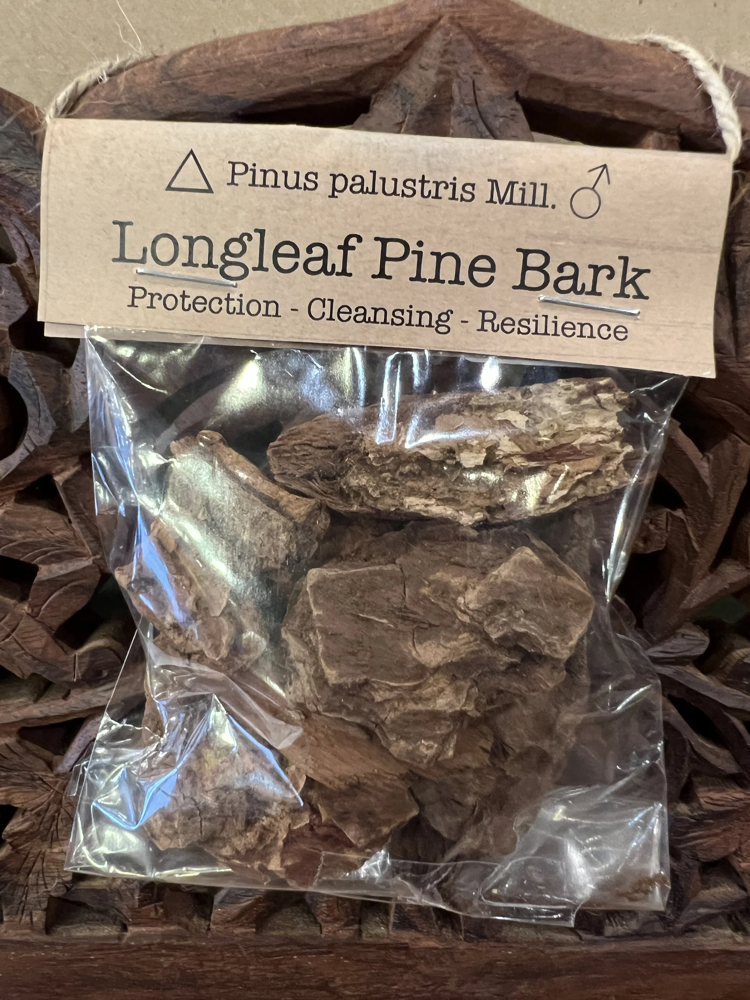 Longleaf Pine Bark.JPG