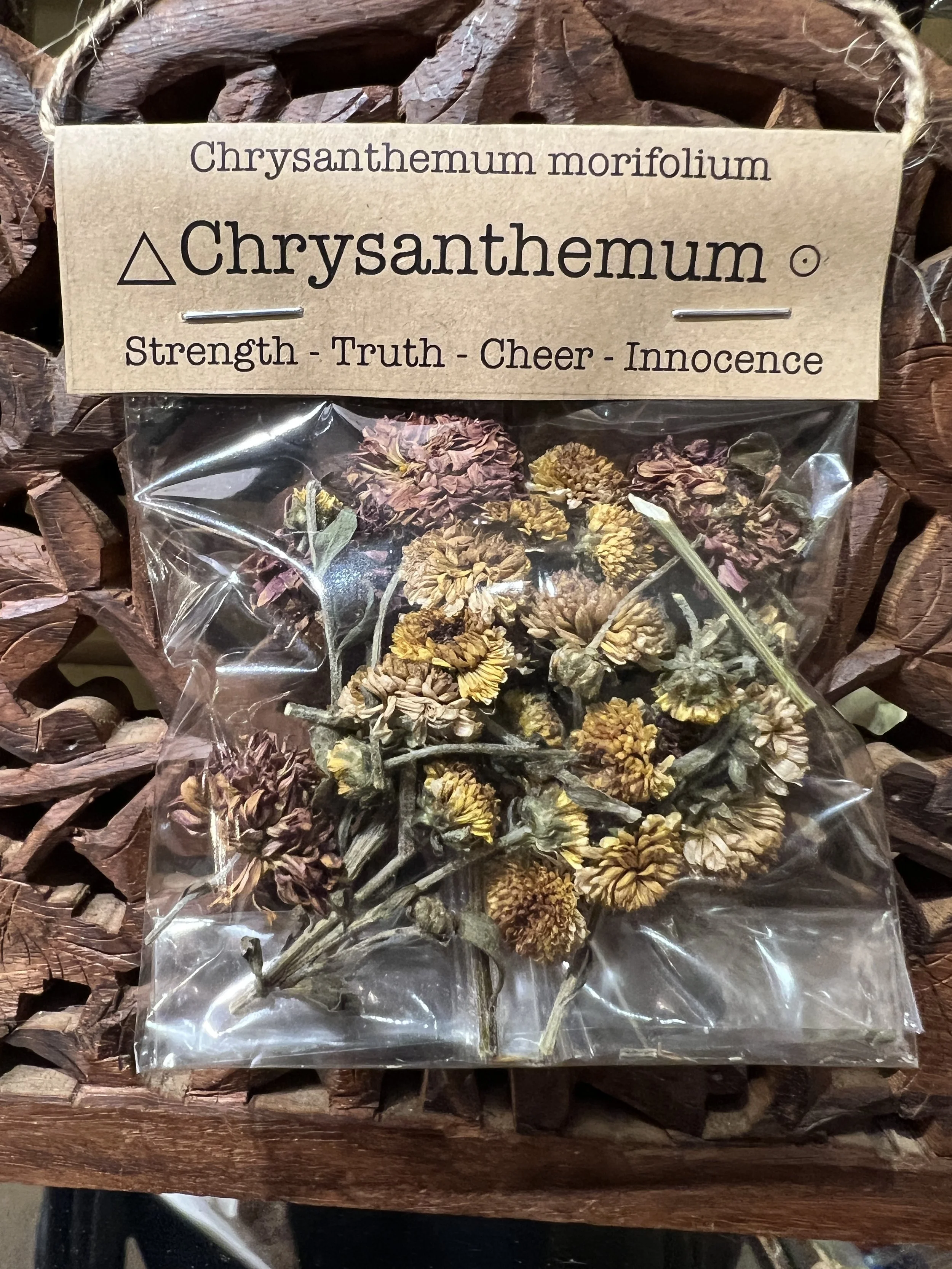 Spellcraft Herbs: Chrysanthemum Flower