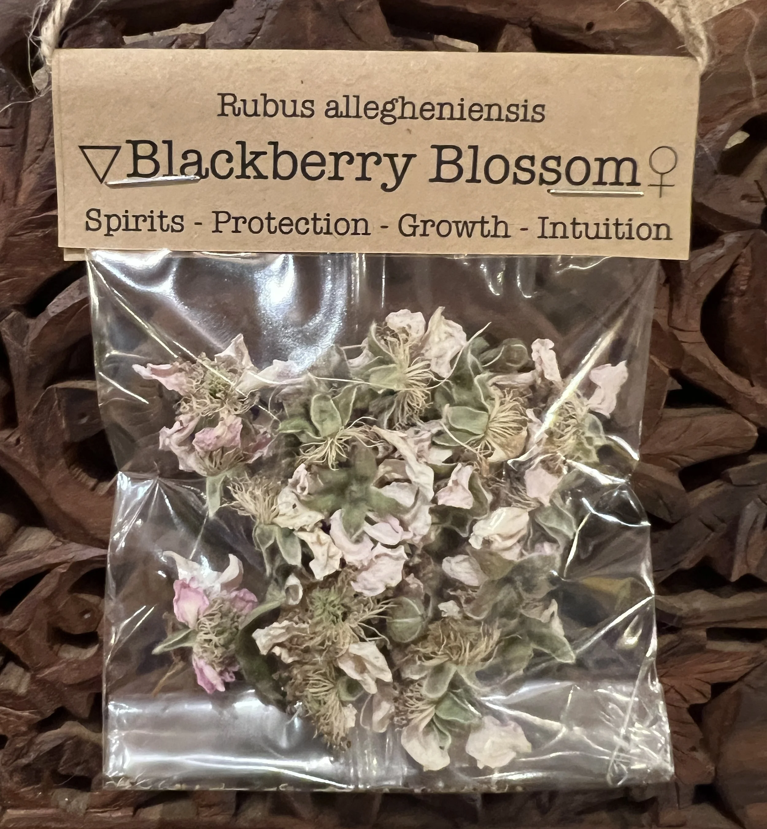 Spellcraft Herbs: Blackberry Blossom