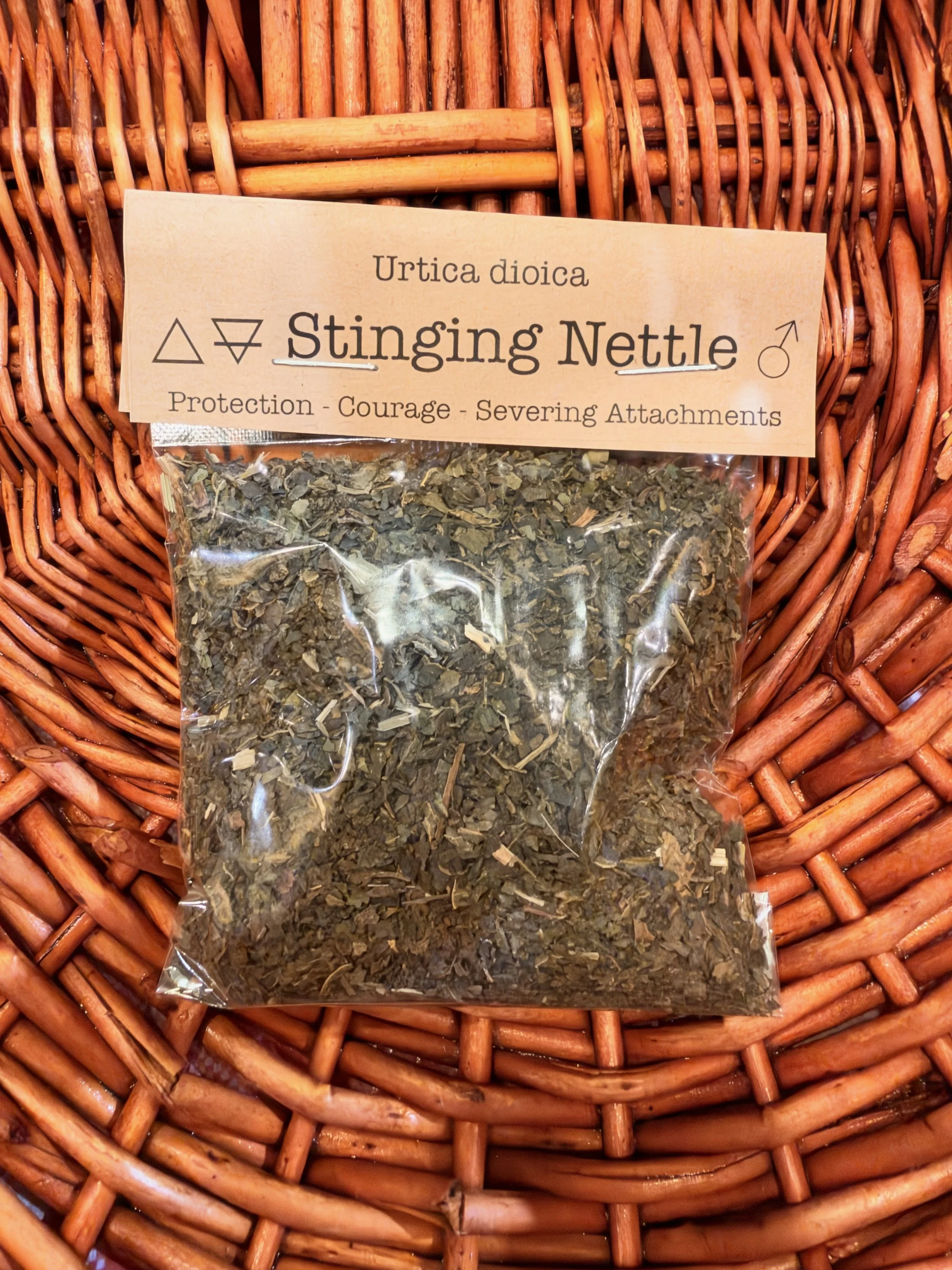 Stinging Nettle Front.JPG