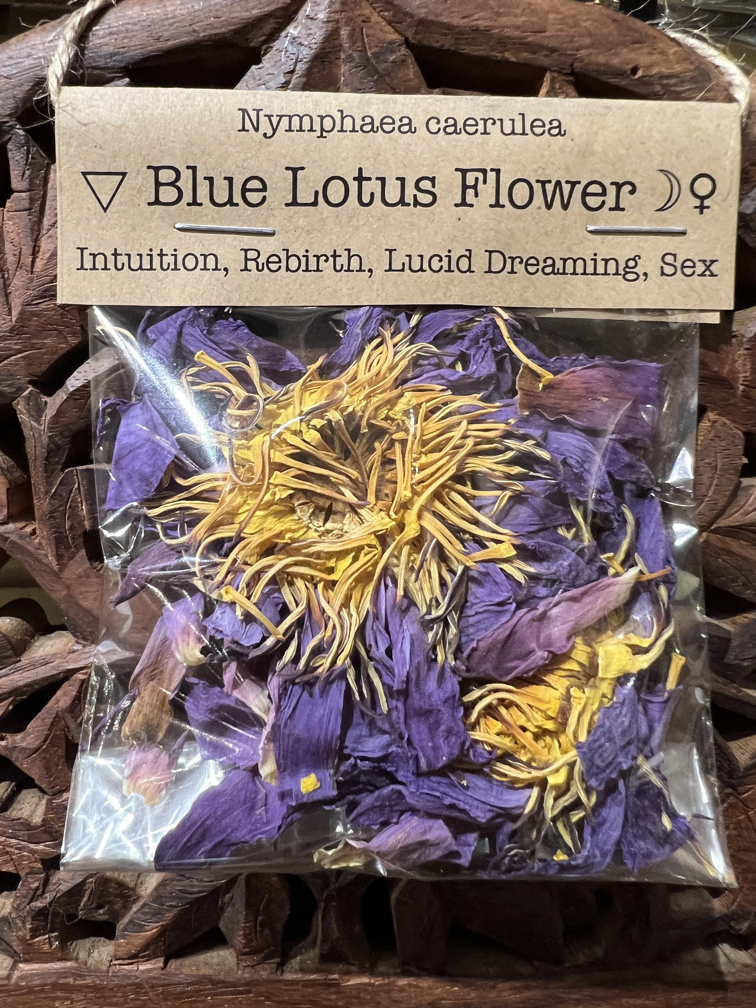 Blue Lotus Flower.JPG
