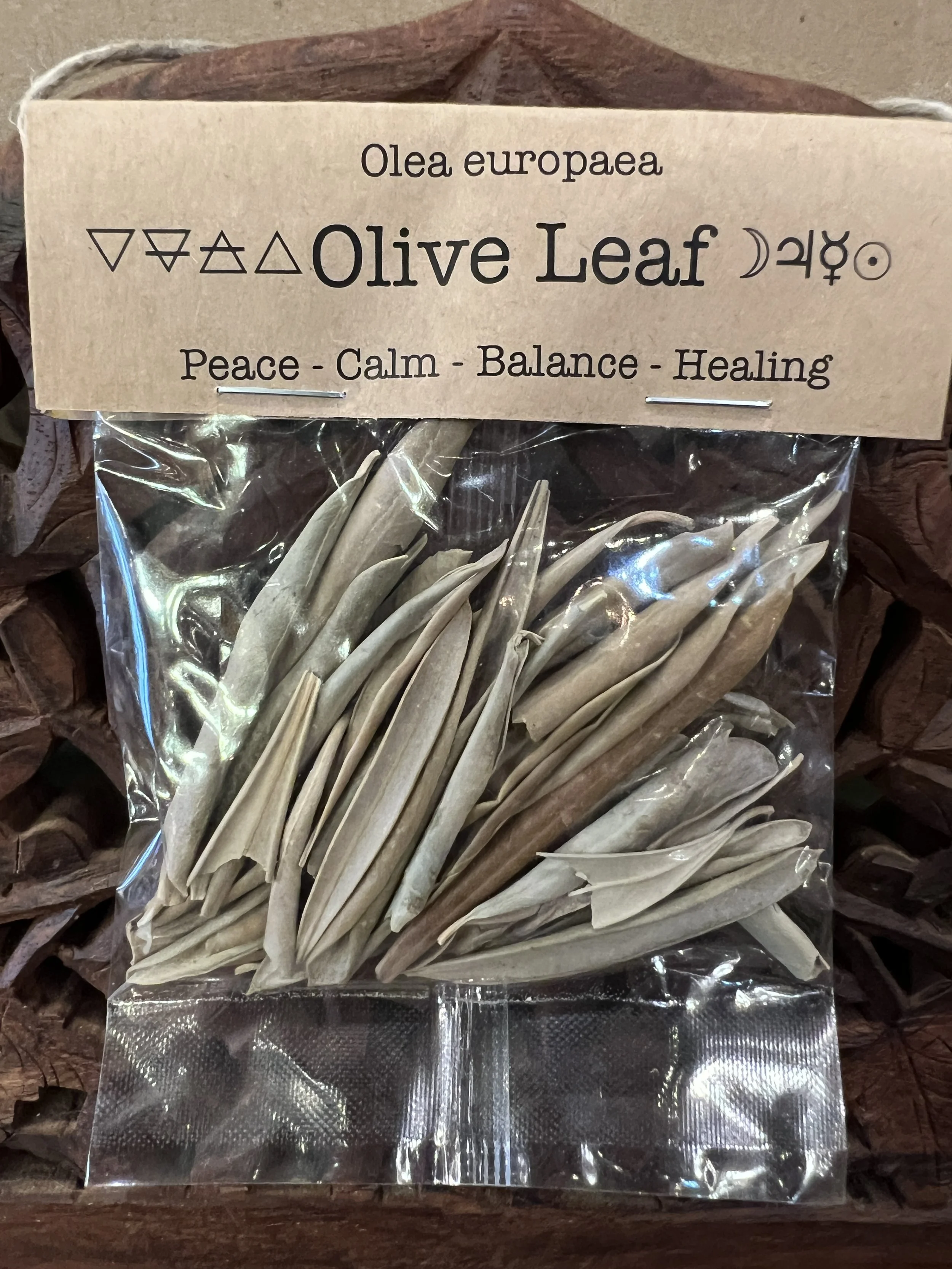 Spellcraft Herbs: Olive Leaf