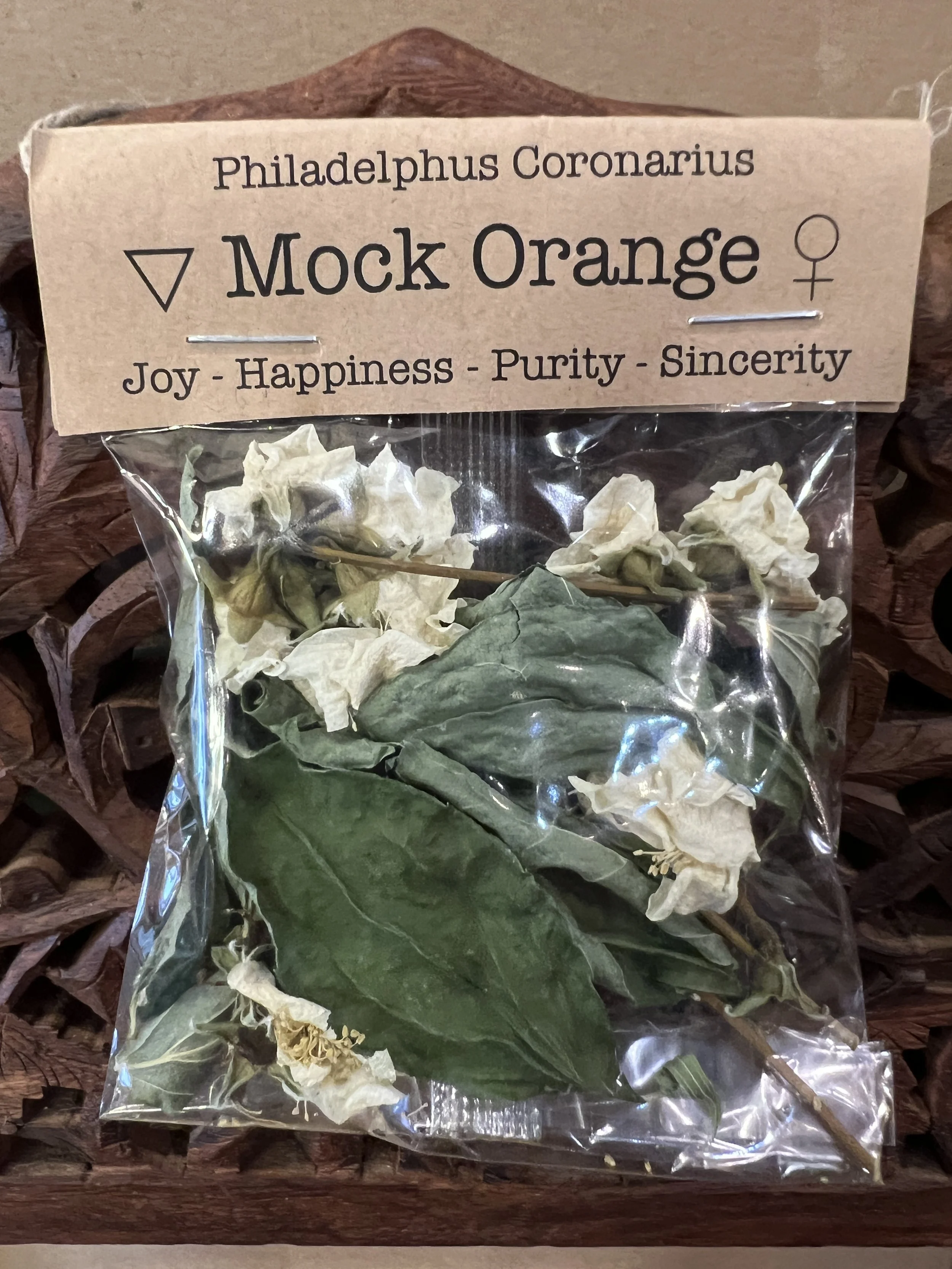Spellcraft Herbs: Mock Orange