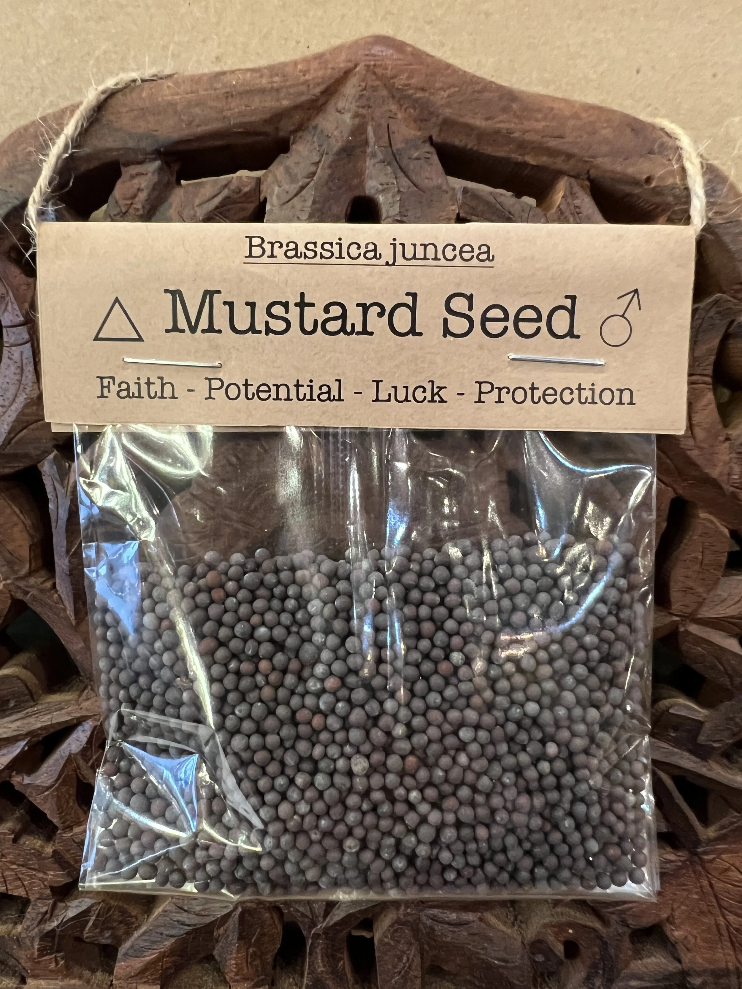Spellcraft Herbs: Mustard Seed