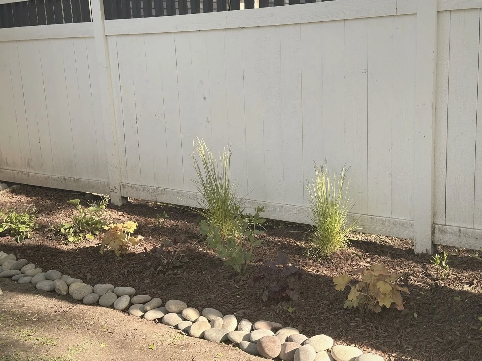 Fresh mulch, soft river rock edging, and shade-tolerant native plantings helped turn this narrow Oak Park fence line into a cleaner, more intentional garden space designed to fill in beautifully over time. 🌿
