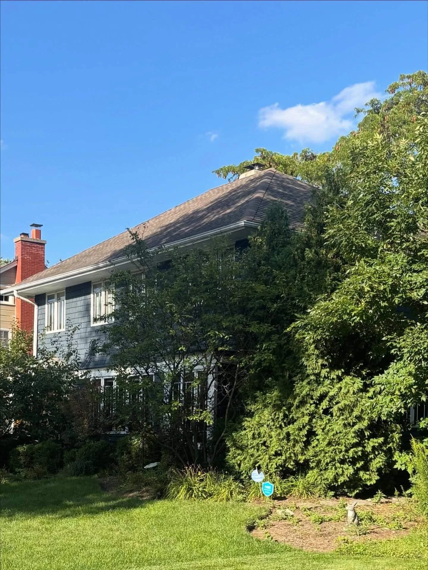 Overgrown front yard in Chicago with large shrubs and trees obscuring a historic home facade before landscape renovation