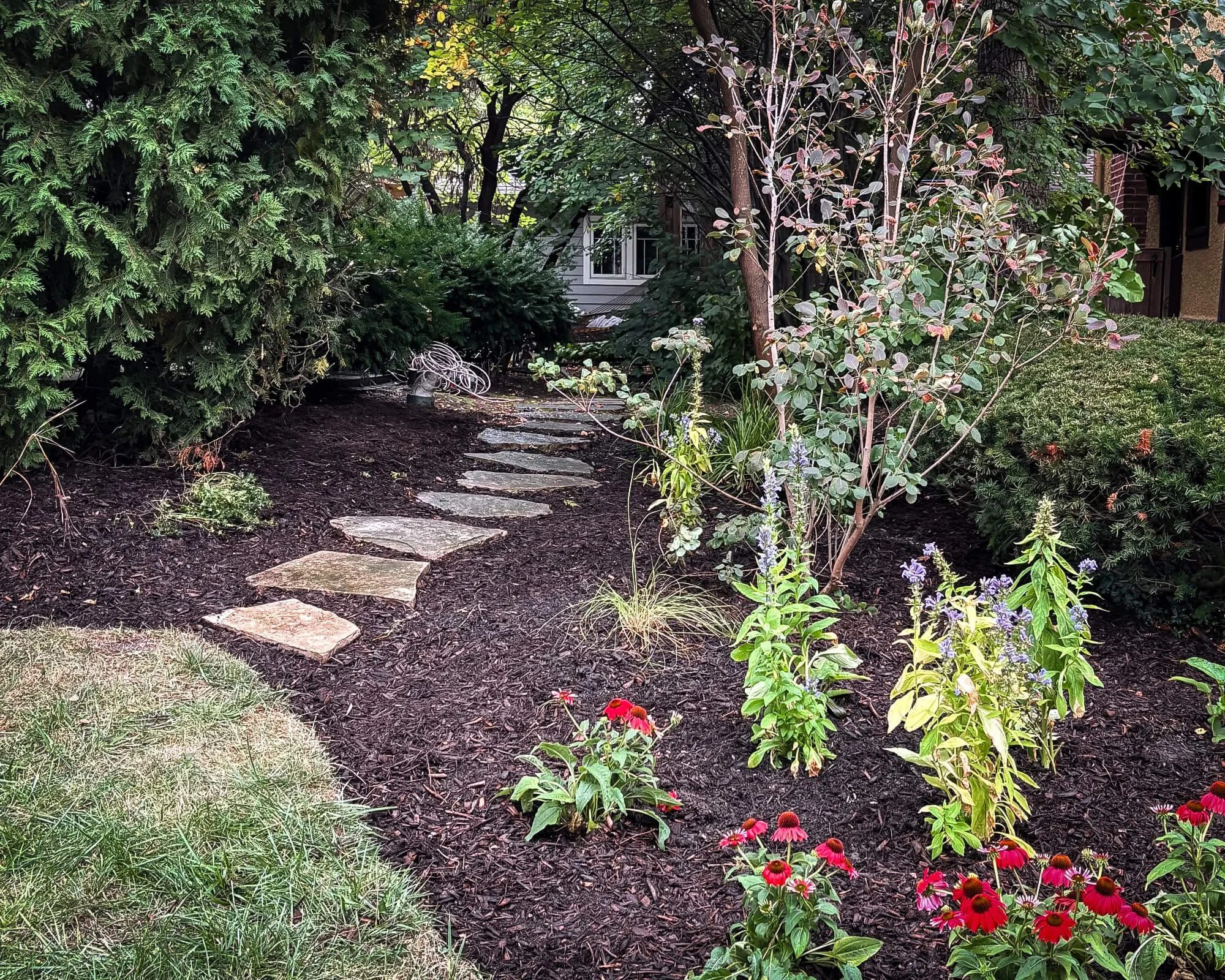 Thoughtful plantings and simple paths create spaces that feel natural and welcoming.