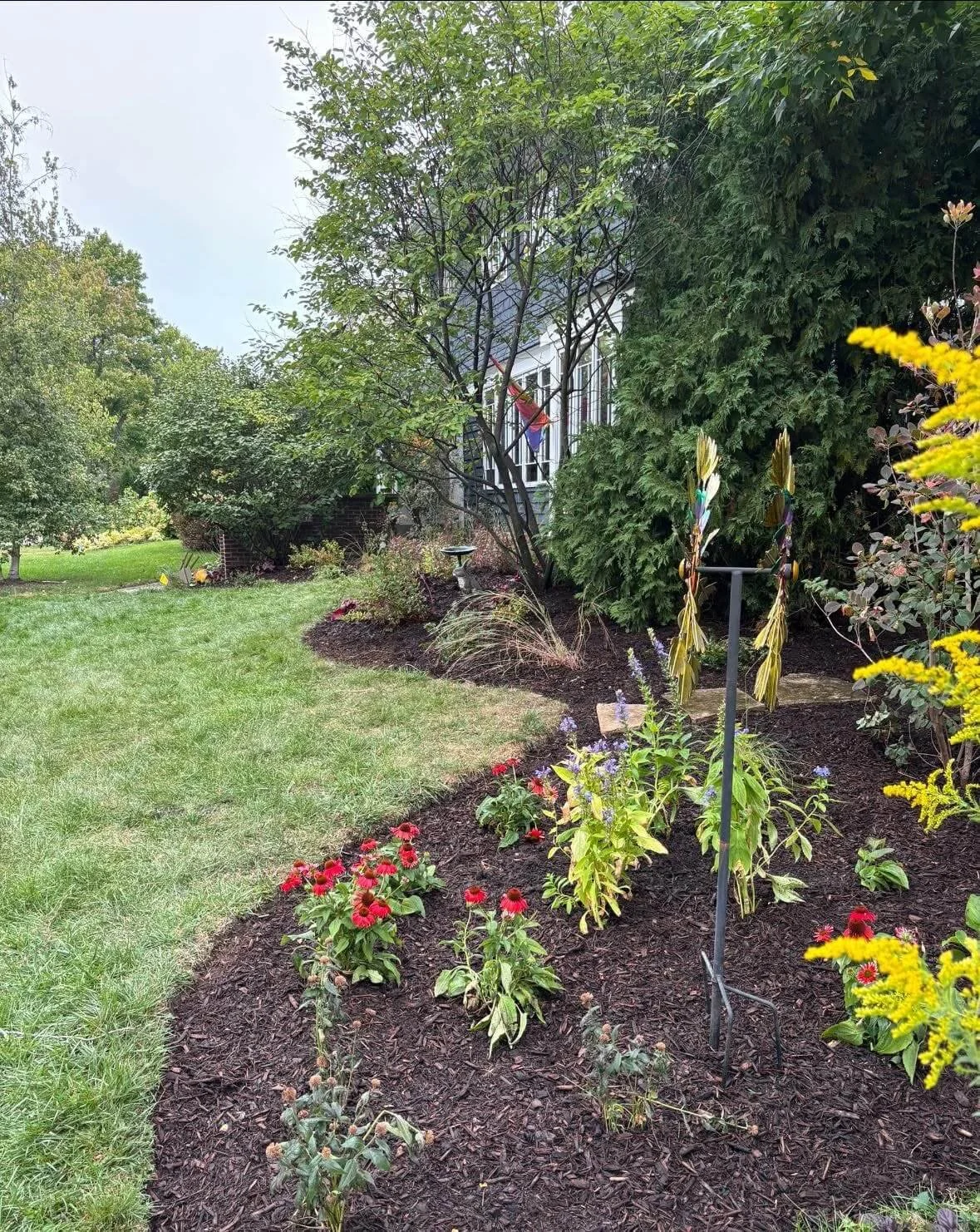 Chicago front yard during native garden installation with newly defined planting beds, mulch, and early perennial plantings