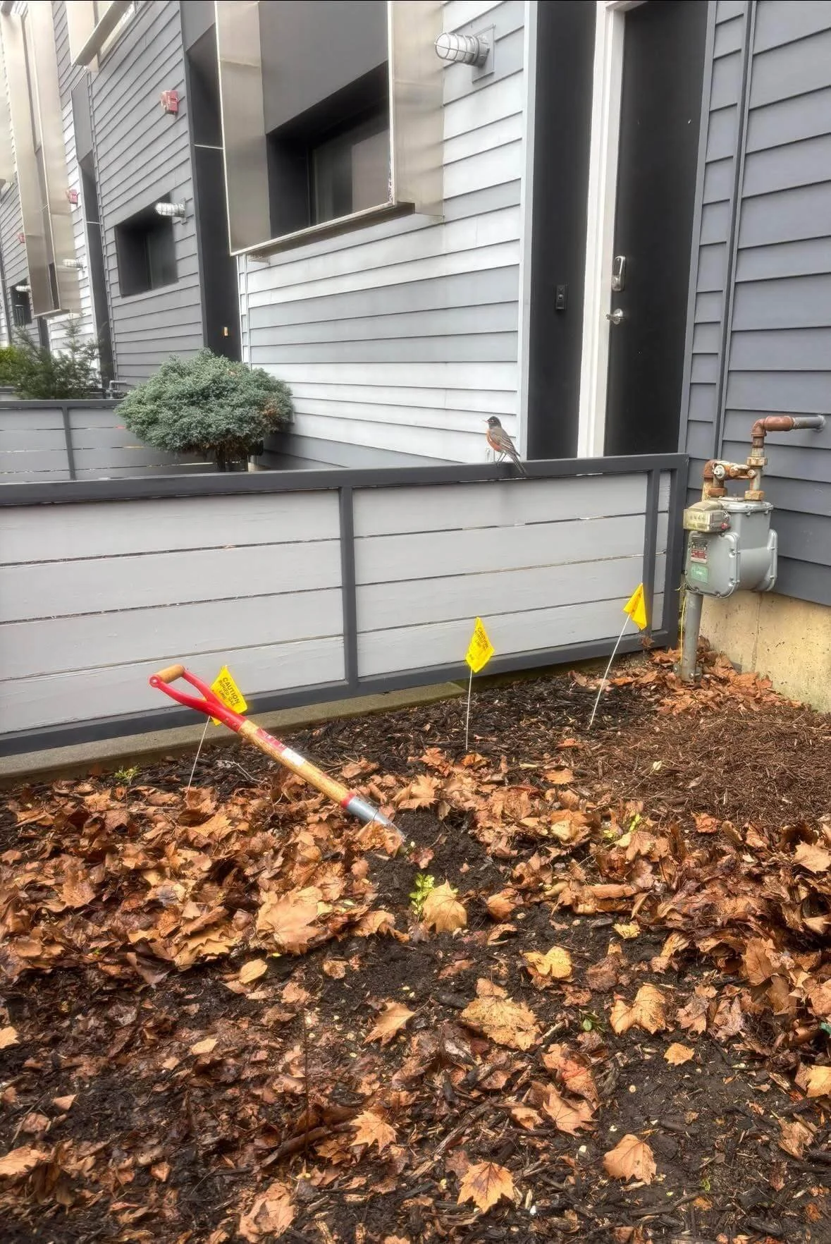 Native garden installation in progress in a Logan Square front yard with soil prep, planting flags, and tools in place
